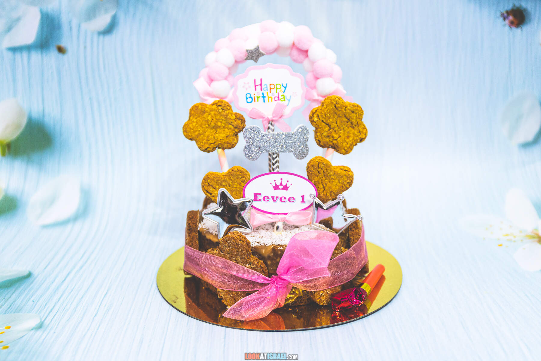 День рождения корги Иви