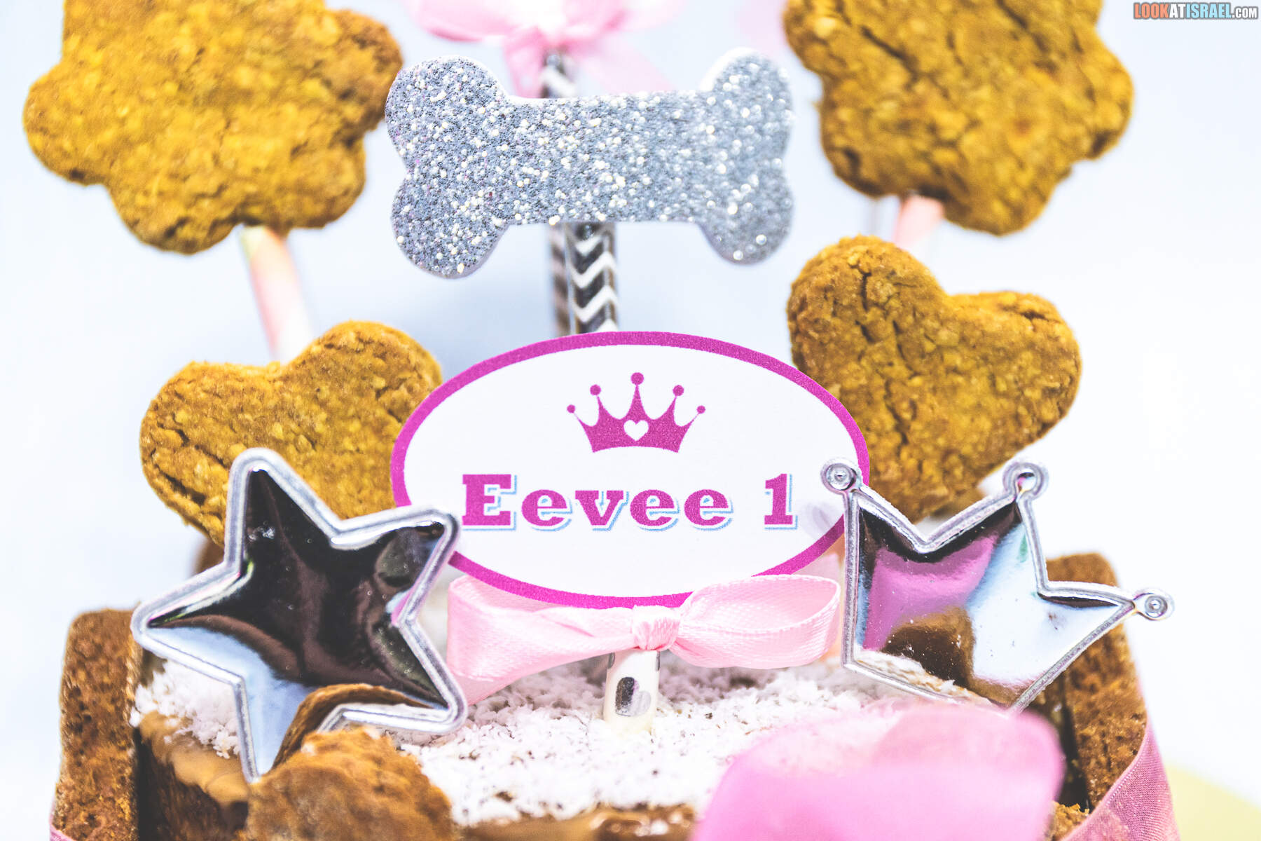 День рождения корги Иви