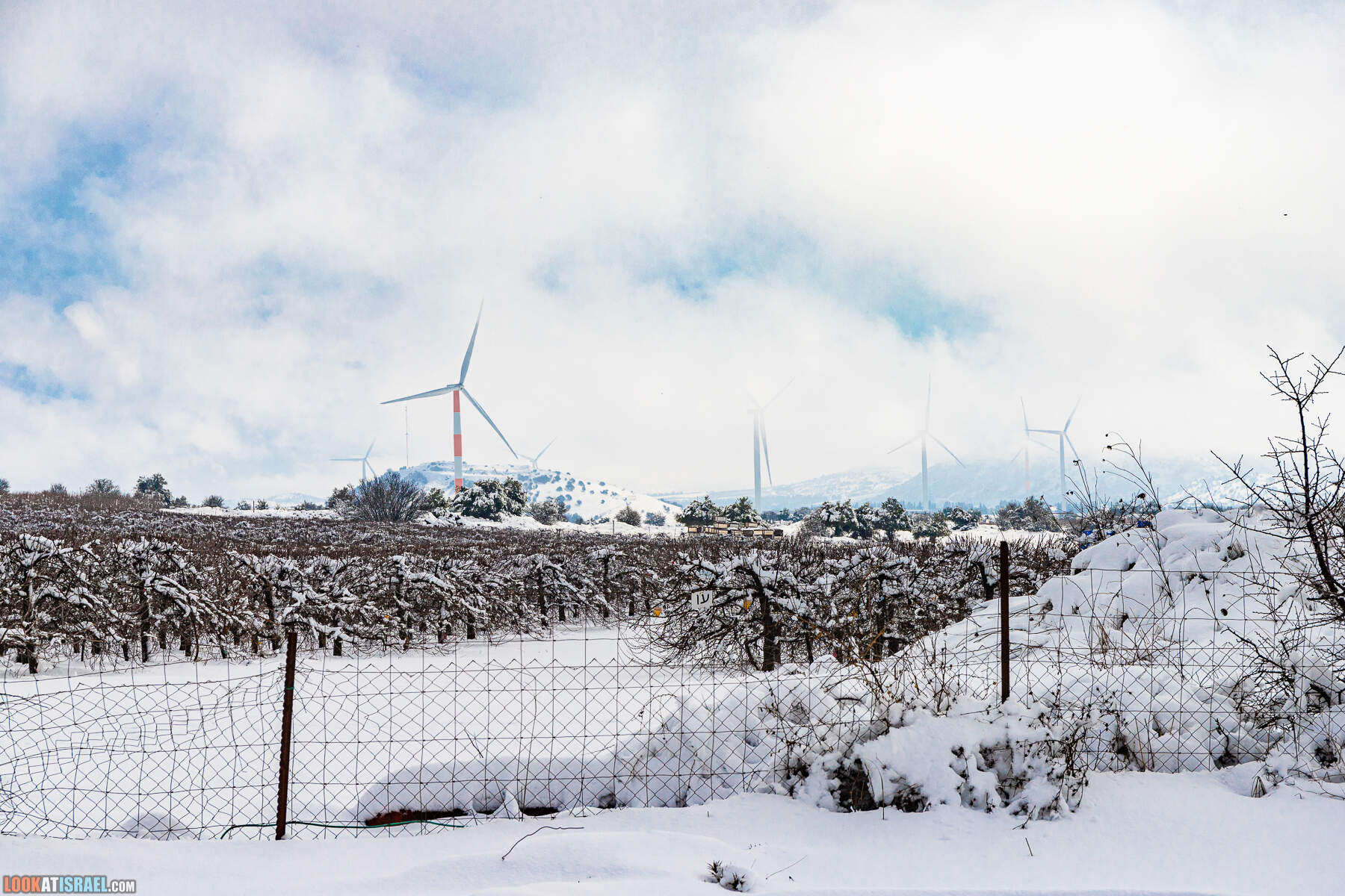 Ураган Элпис, снег на Голанских высотах - Snow on Golan Heights (Ramat ha-Golan) - סערת אלפיס שלג ברמת הגולן