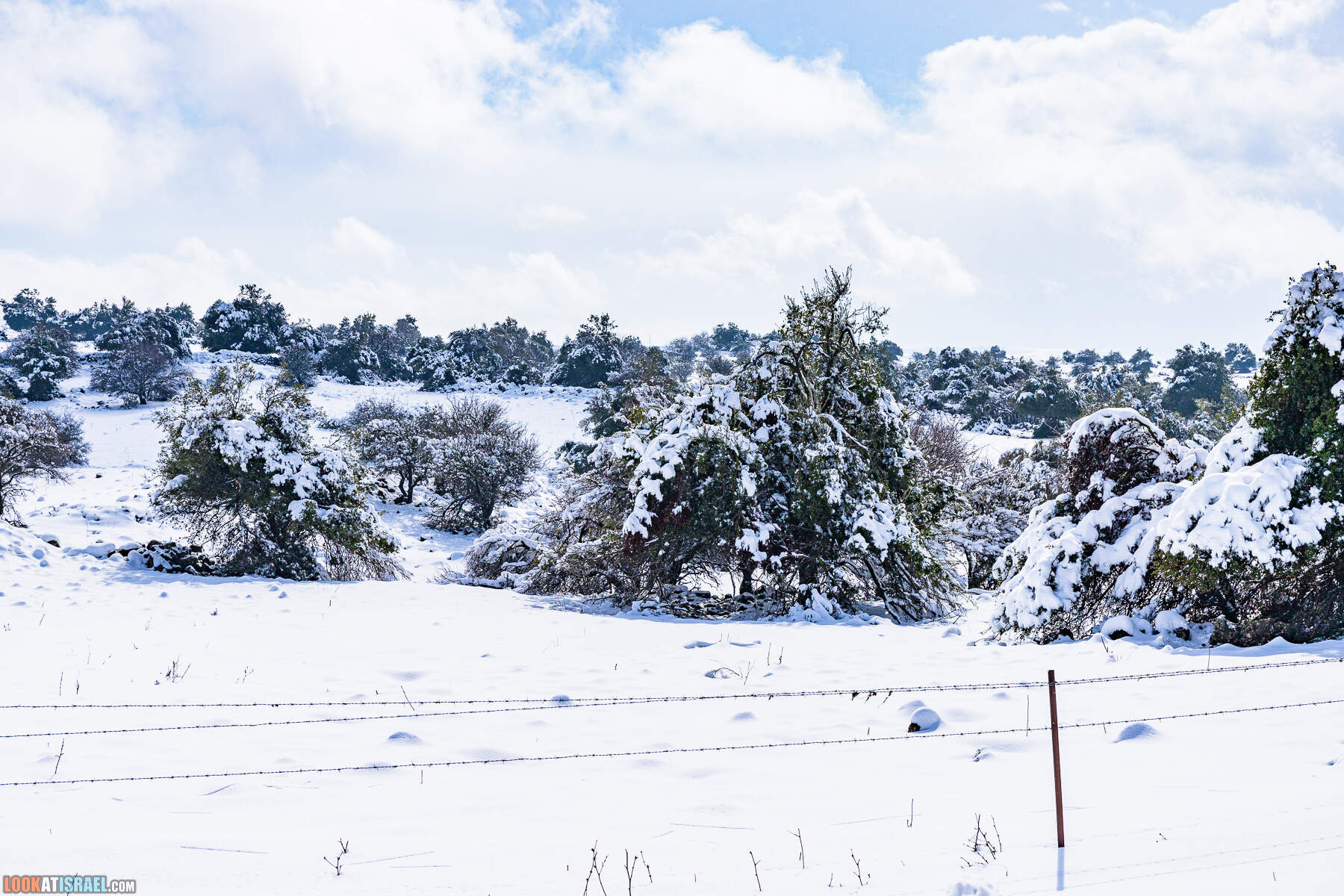 Ураган Элпис, снег на Голанских высотах - Snow on Golan Heights (Ramat ha-Golan) - סערת אלפיס שלג ברמת הגולן
