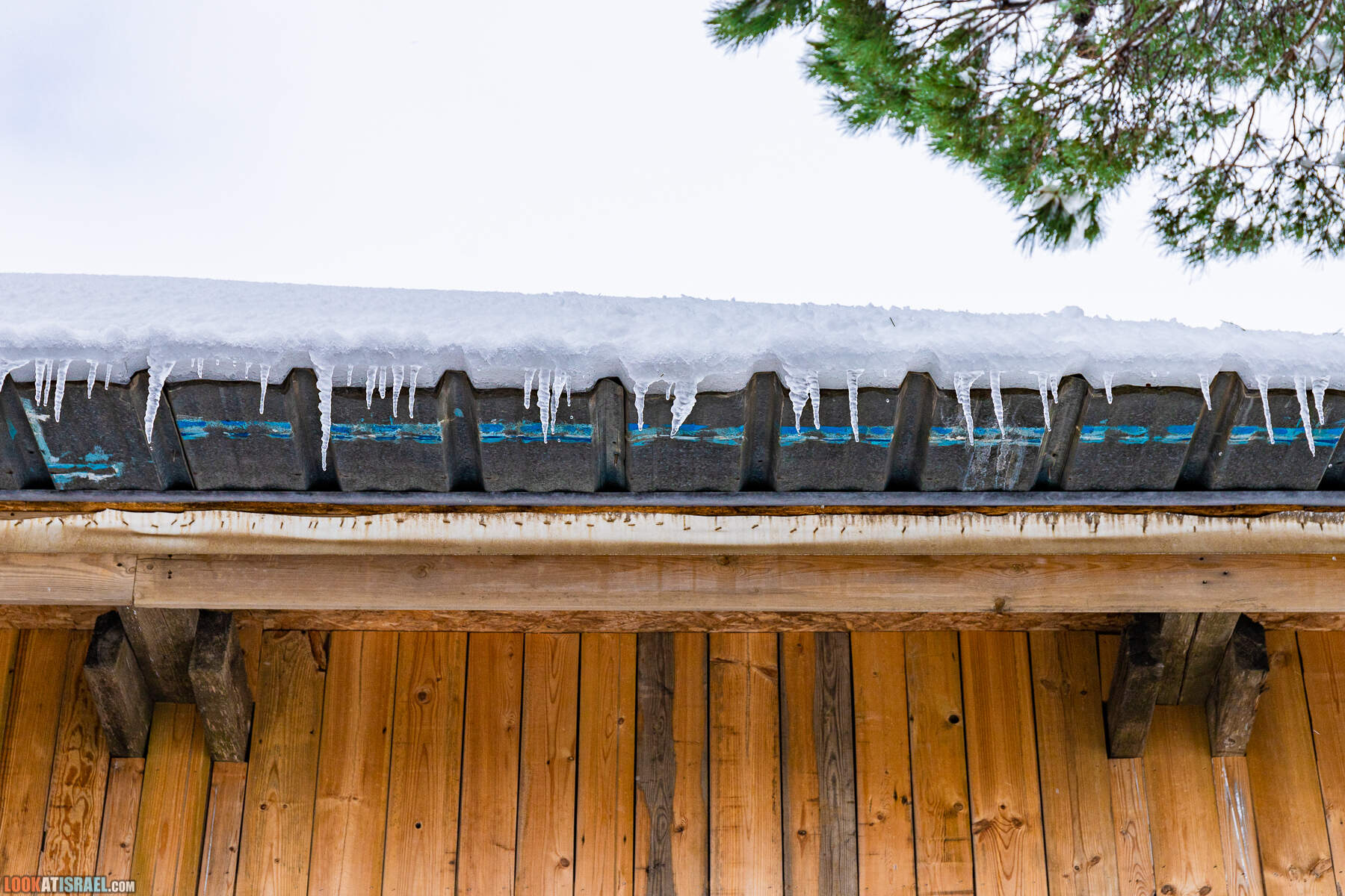 Ураган Элпис, снег на Голанских высотах - Snow on Golan Heights (Ramat ha-Golan) - סערת אלפיס שלג ברמת הגולן
