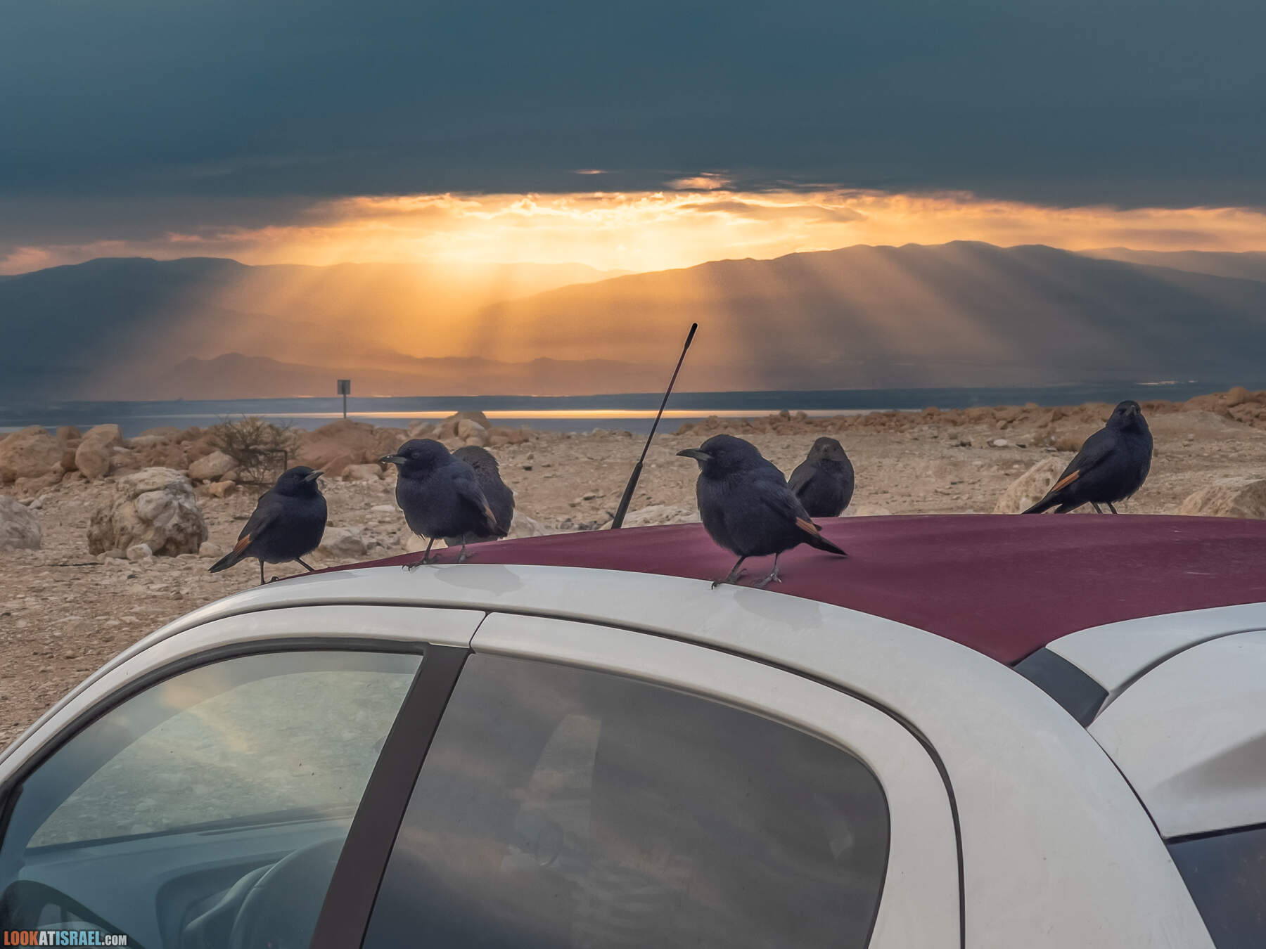 Поход по Гранд каньону Иудейской пустыни - ущелья Ардуф и Цеелим. Источники Эйн Ардуф, Эйн Намер