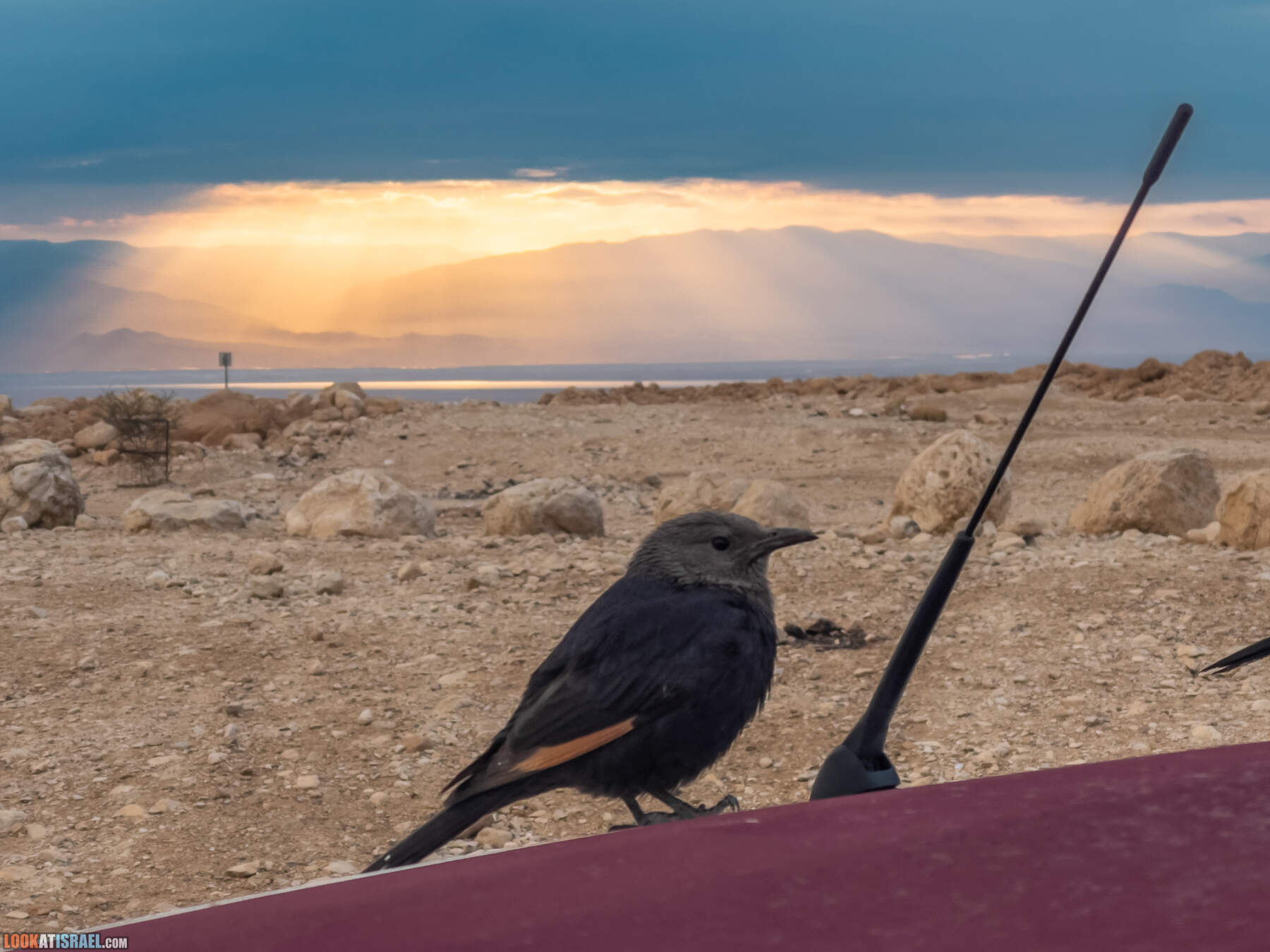 Поход по Гранд каньону Иудейской пустыни - ущелья Ардуф и Цеелим. Источники Эйн Ардуф, Эйн Намер