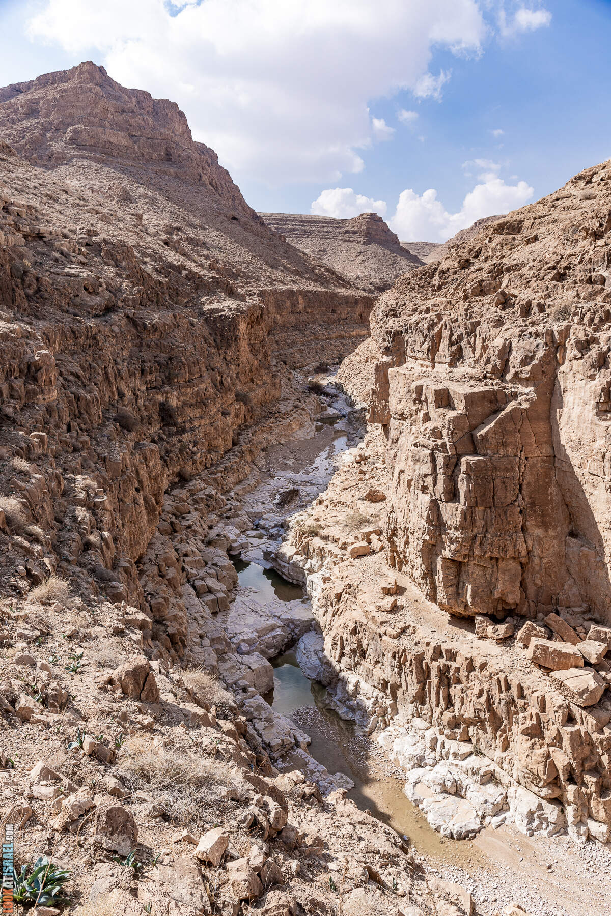 Поход по Гранд каньону Иудейской пустыни - ущелья Ардуф и Цеелим. Источники Эйн Ардуф, Эйн Намер