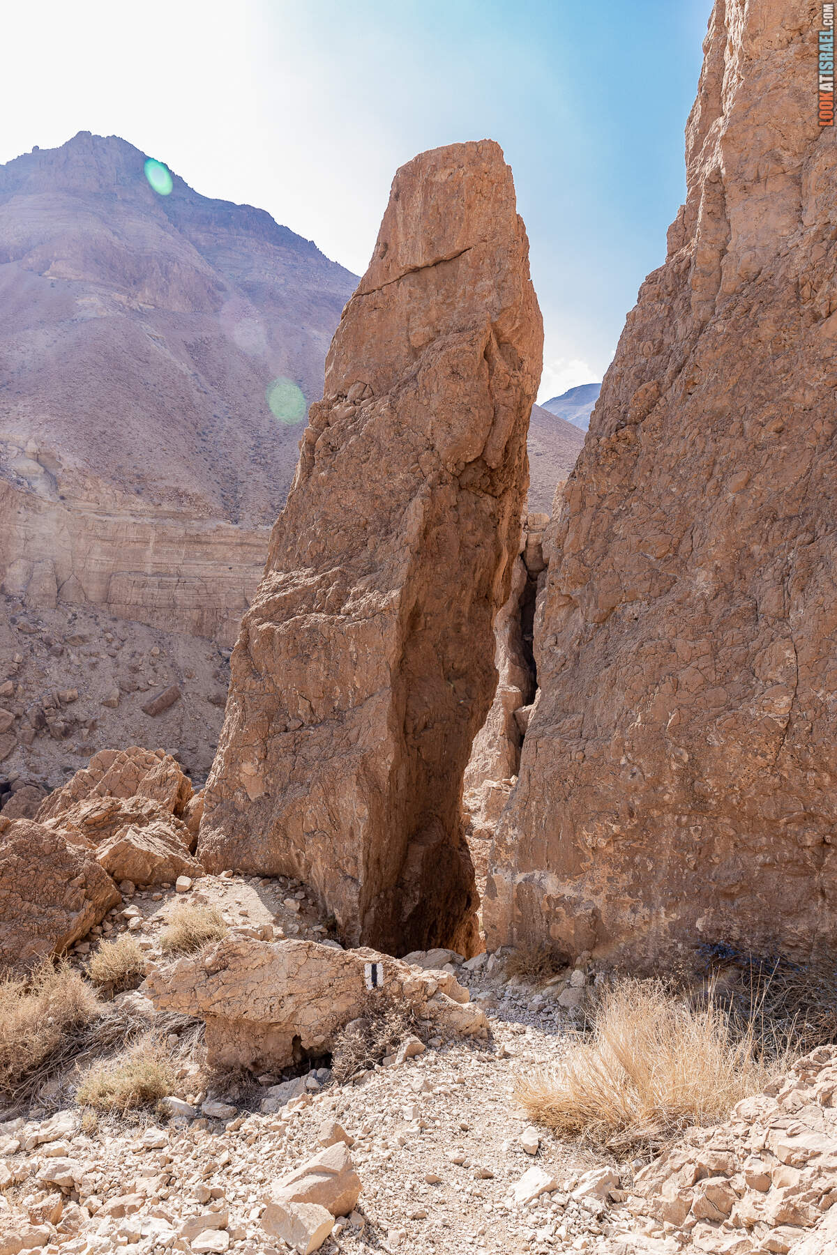 Поход по Гранд каньону Иудейской пустыни - ущелья Ардуф и Цеелим. Источники Эйн Ардуф, Эйн Намер