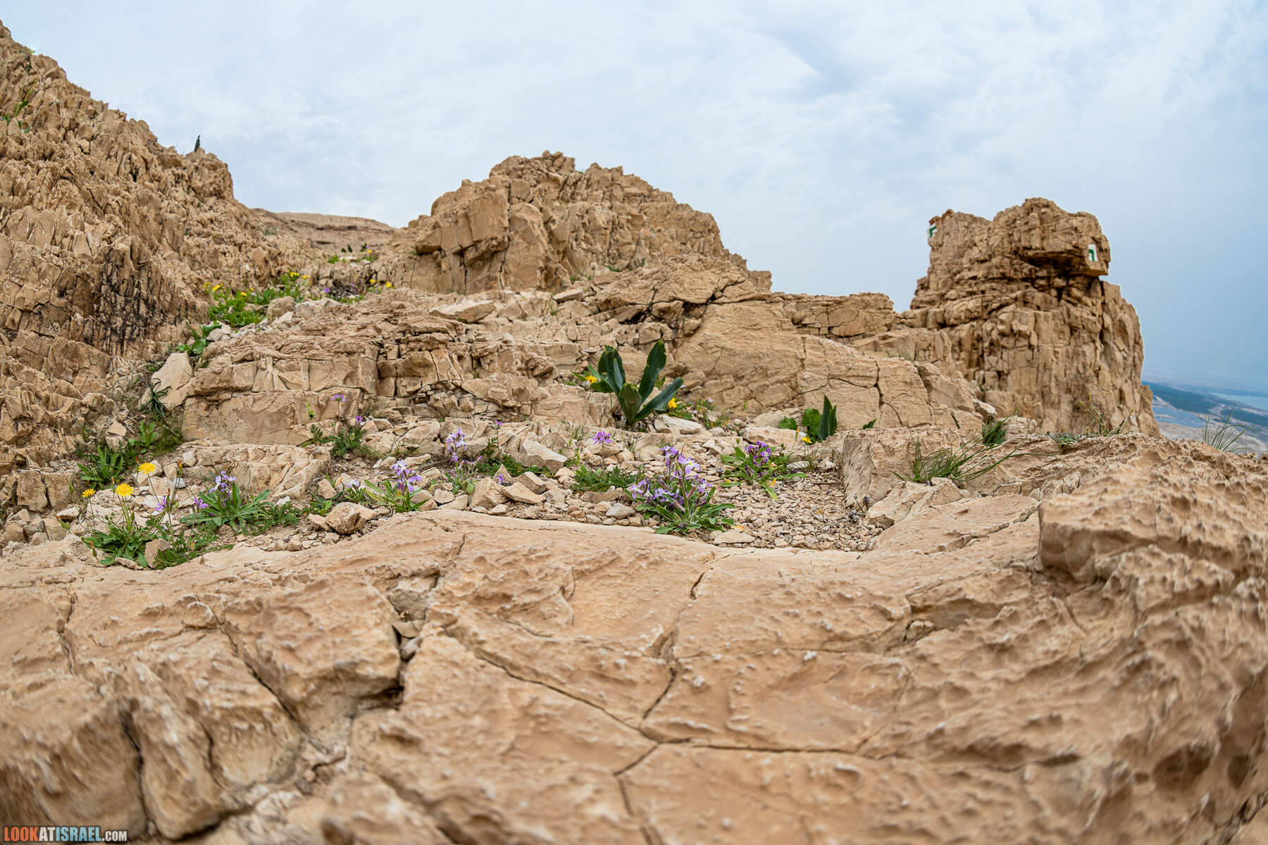 Поход по ущелью Кумран, Мацок Этеким, Рош Цуким