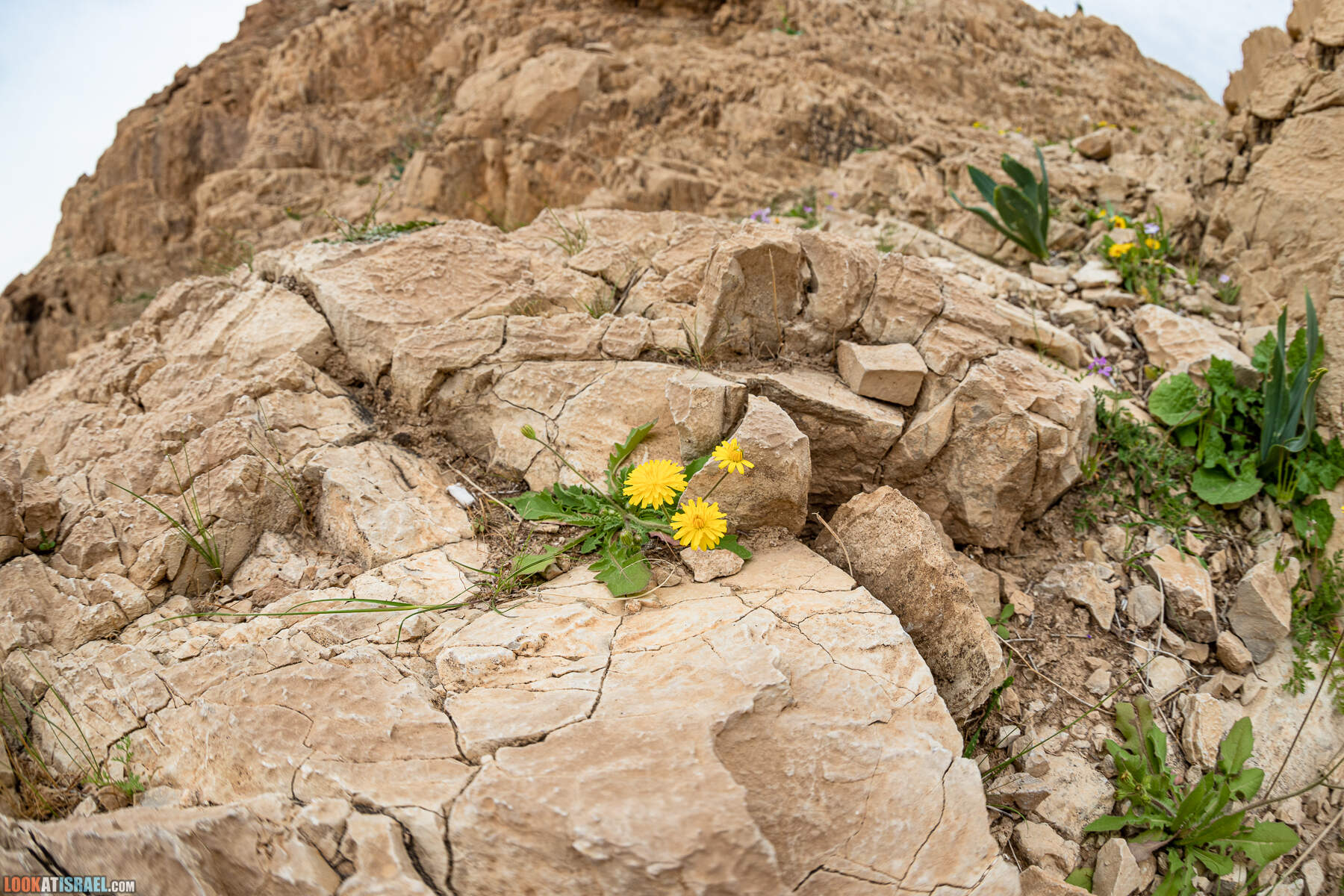 Поход по ущелью Кумран, Мацок Этеким, Рош Цуким