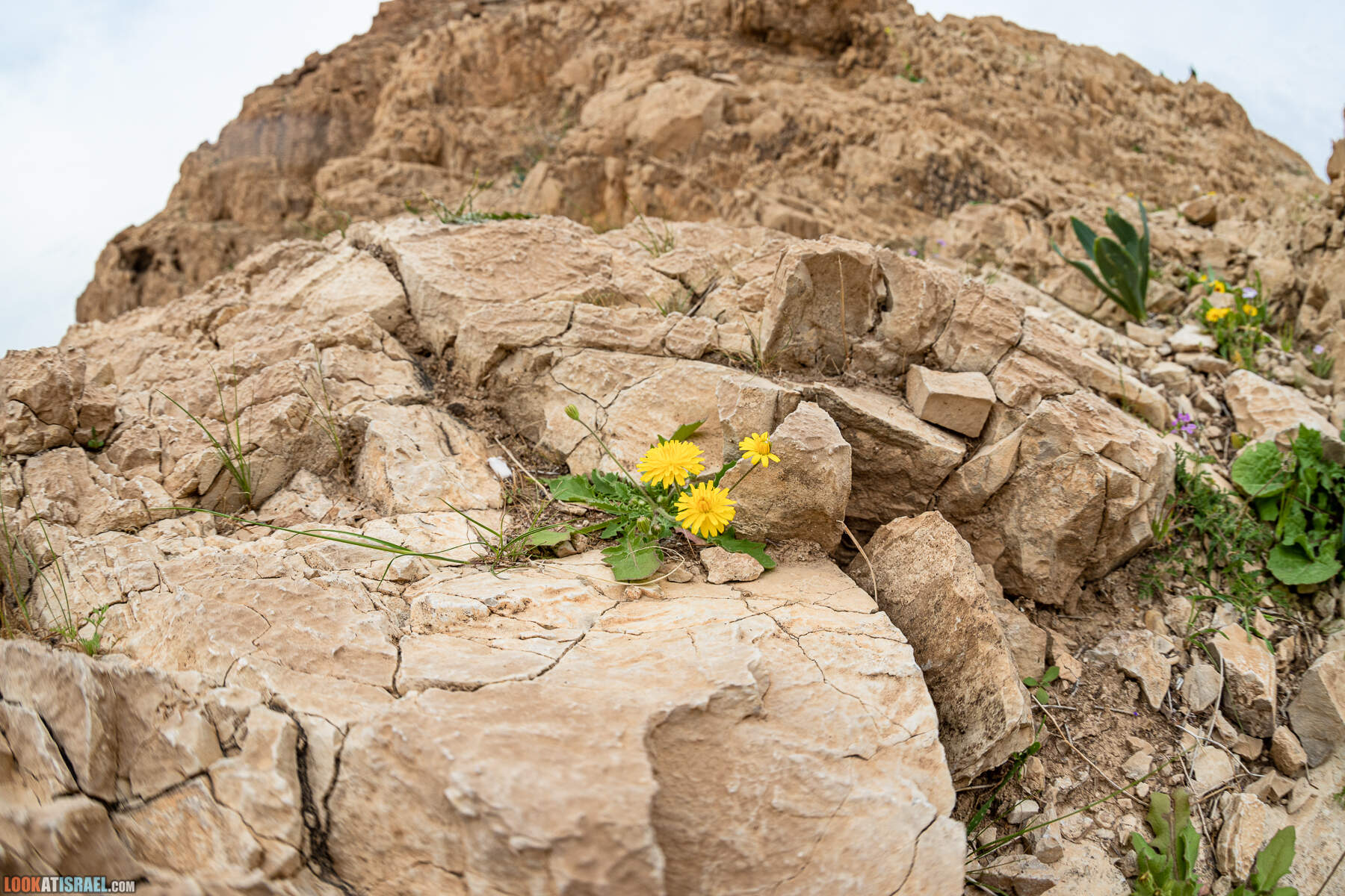 Поход по ущелью Кумран, Мацок Этеким, Рош Цуким