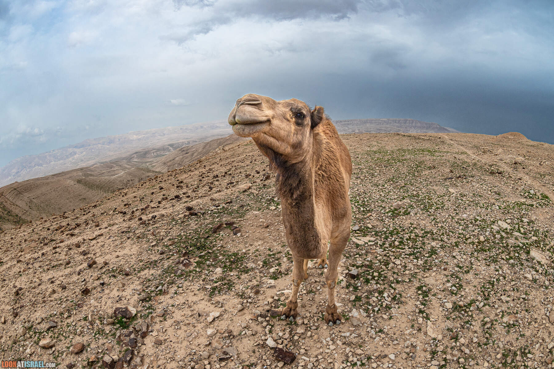 Поход по ущелью Кумран, Мацок Этеким, Рош Цуким