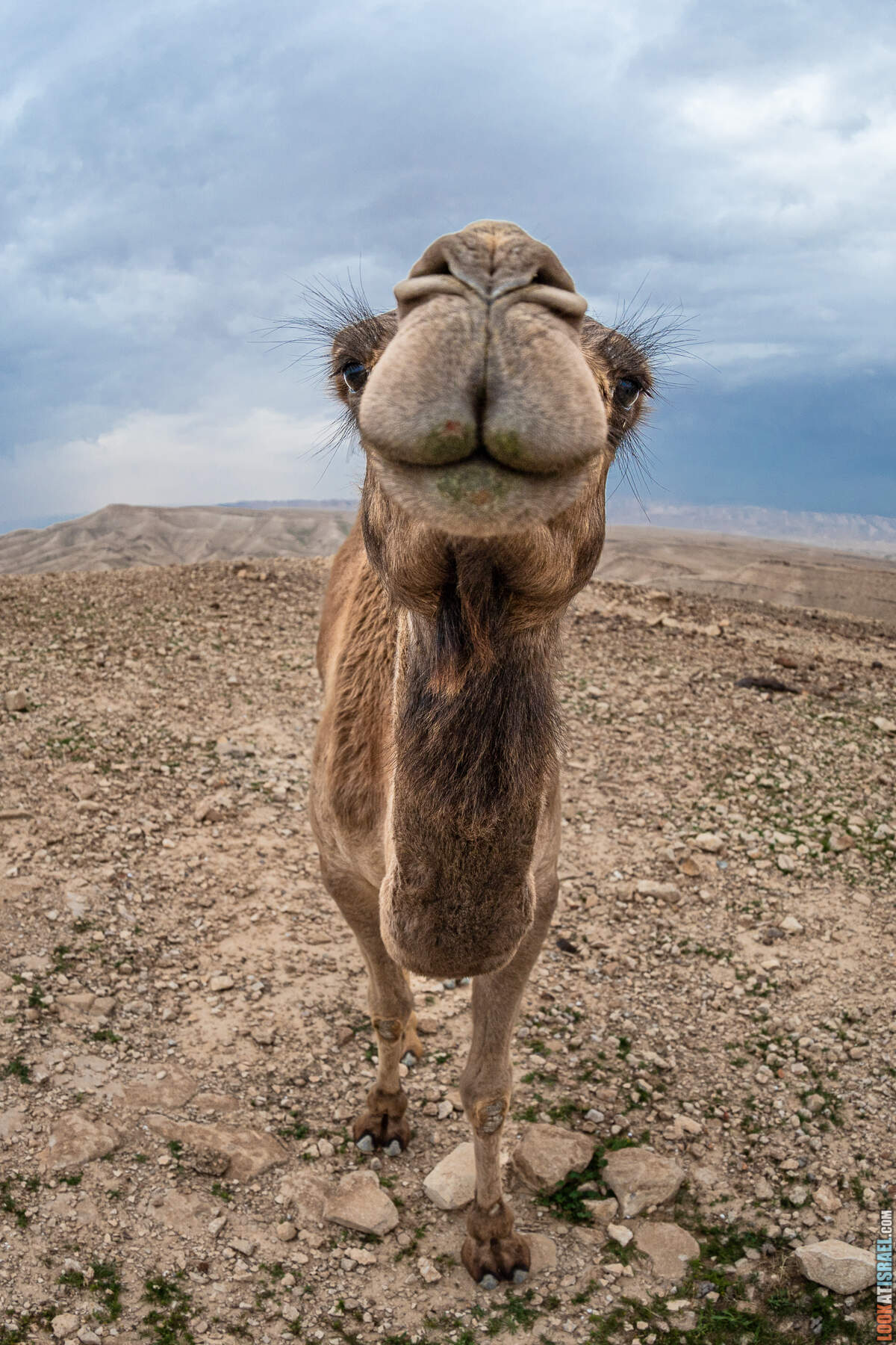 Поход по ущелью Кумран, Мацок Этеким, Рош Цуким