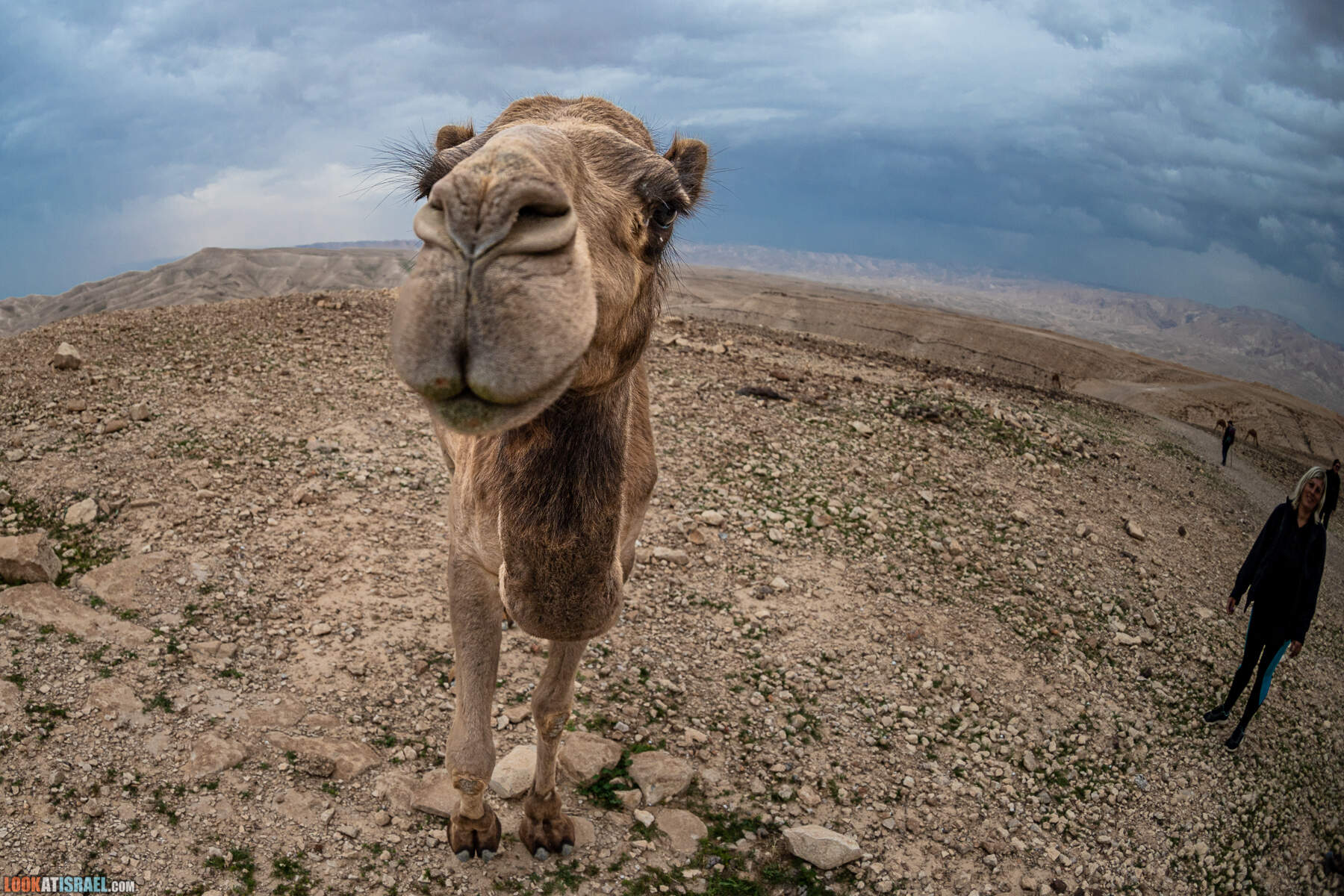 Поход по ущелью Кумран, Мацок Этеким, Рош Цуким