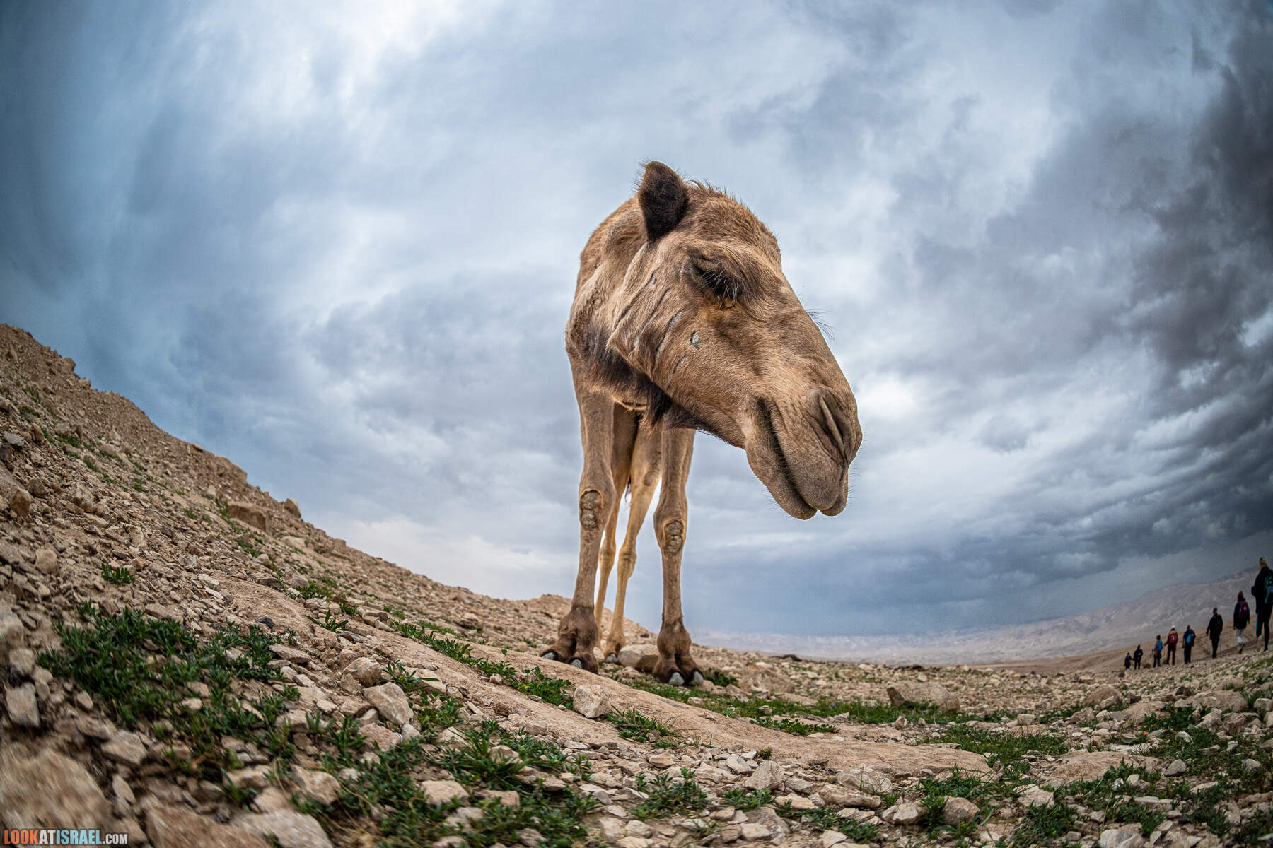 Поход по ущелью Кумран, Мацок Этеким, Рош Цуким