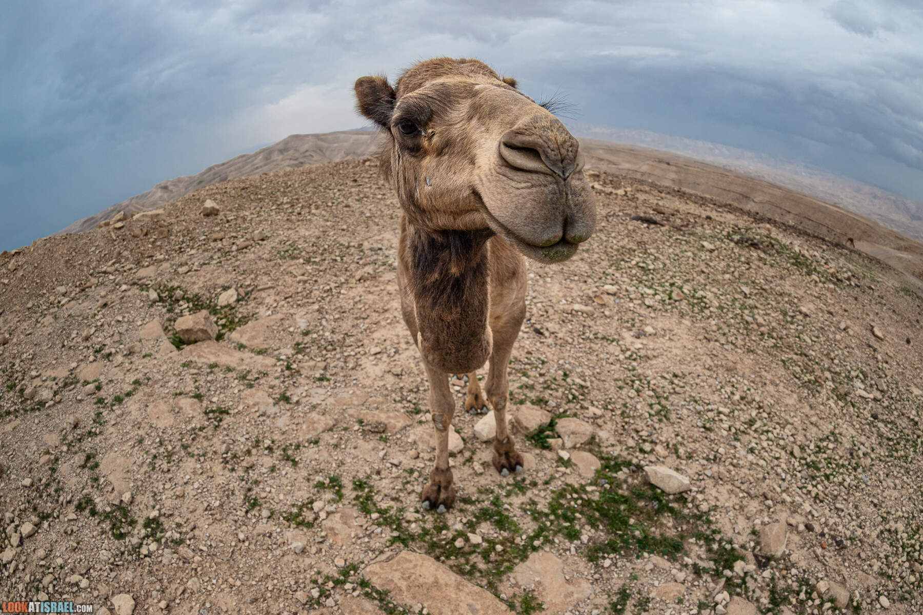 Поход по ущелью Кумран, Мацок Этеким, Рош Цуким
