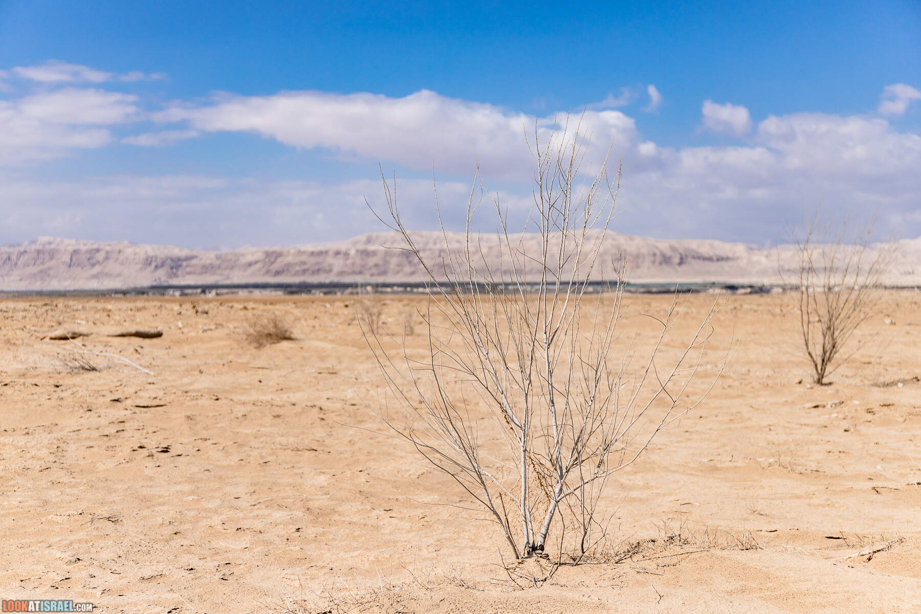 Устье Иордана - там, где Иордан впадает в Мертвое море |   שפך ירדן