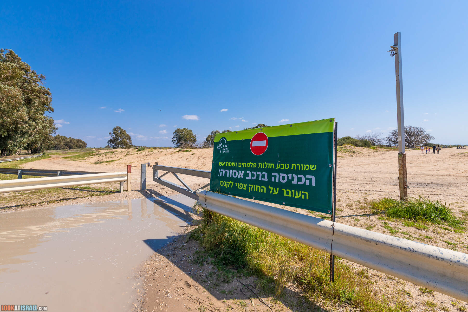 Прогулки с хвостом - пески Пальмахим и Наби Рубин