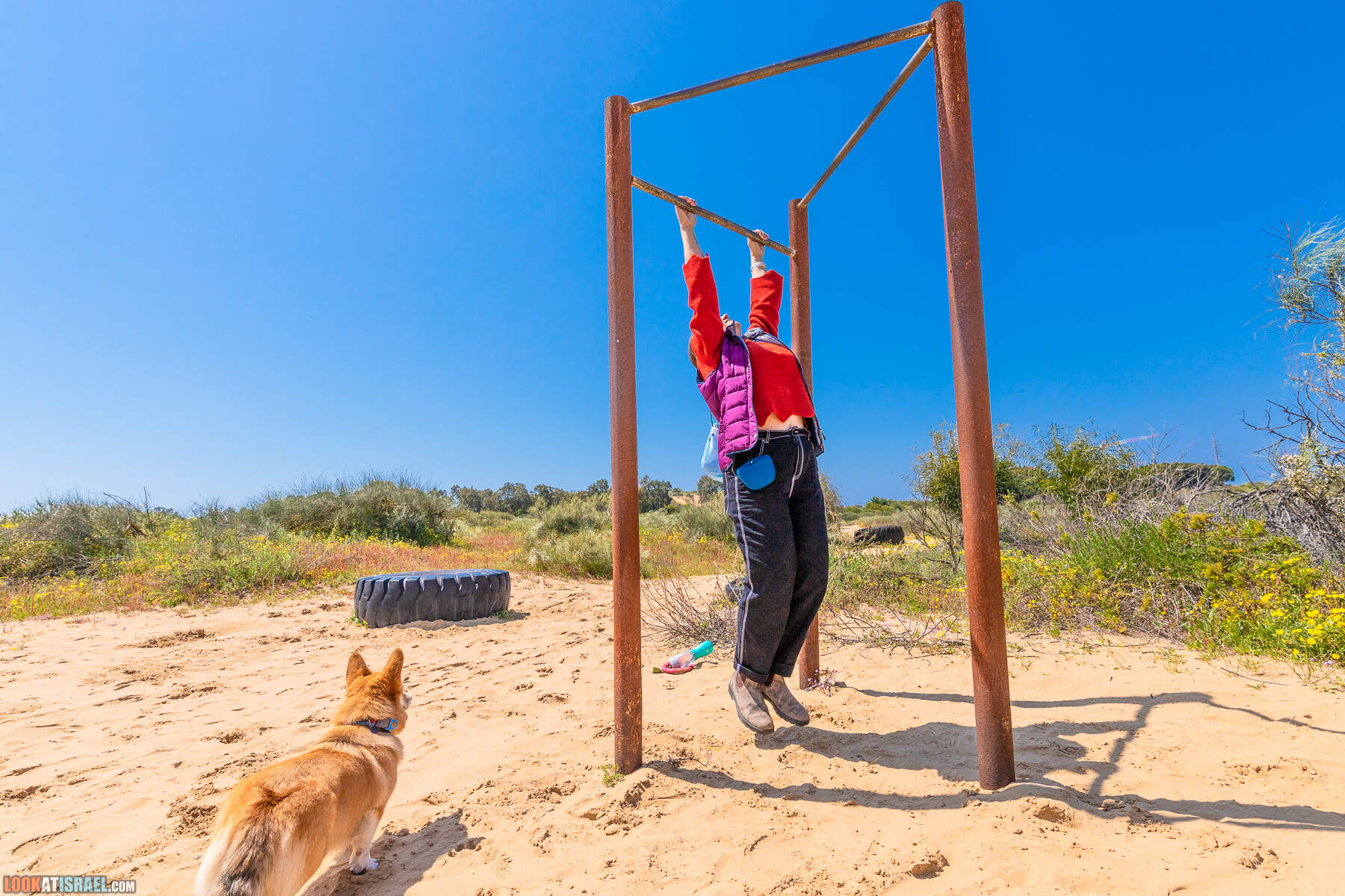 Прогулки с хвостом - пески Пальмахим и Наби Рубин