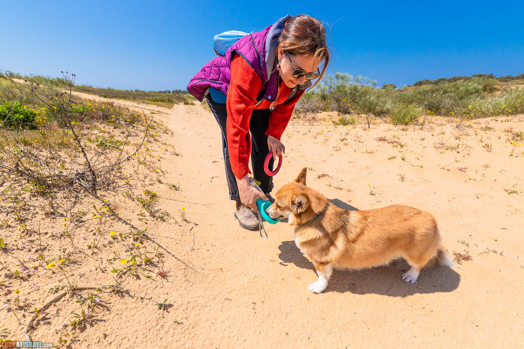 Прогулки с хвостом - пески Пальмахим и Наби Рубин