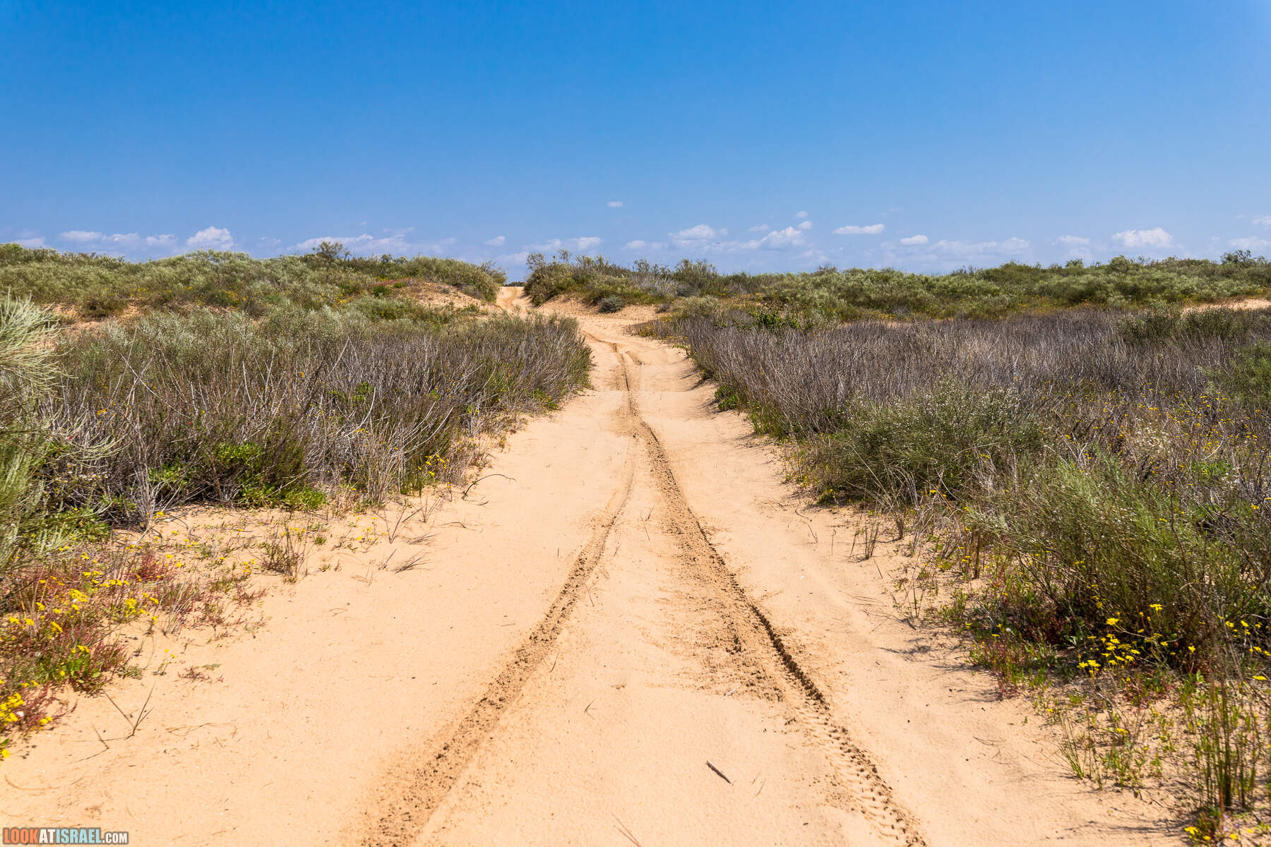 Прогулки с хвостом - пески Пальмахим и Наби Рубин