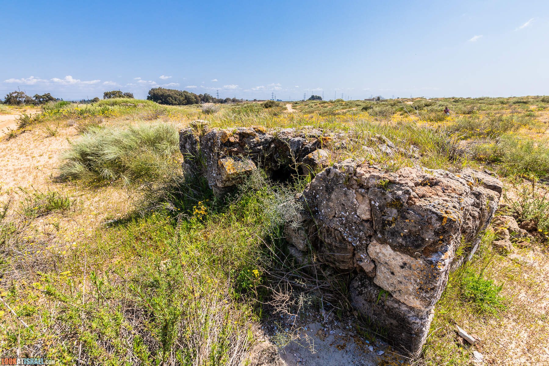 Прогулки с хвостом - пески Пальмахим и Наби Рубин