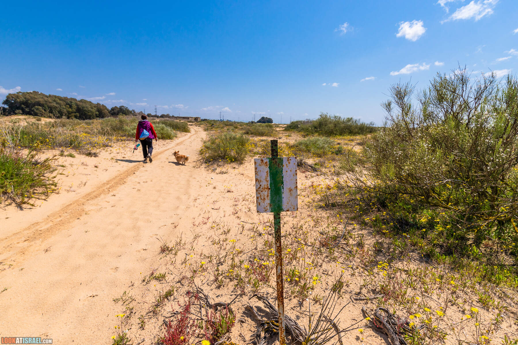 Прогулки с хвостом - пески Пальмахим и Наби Рубин