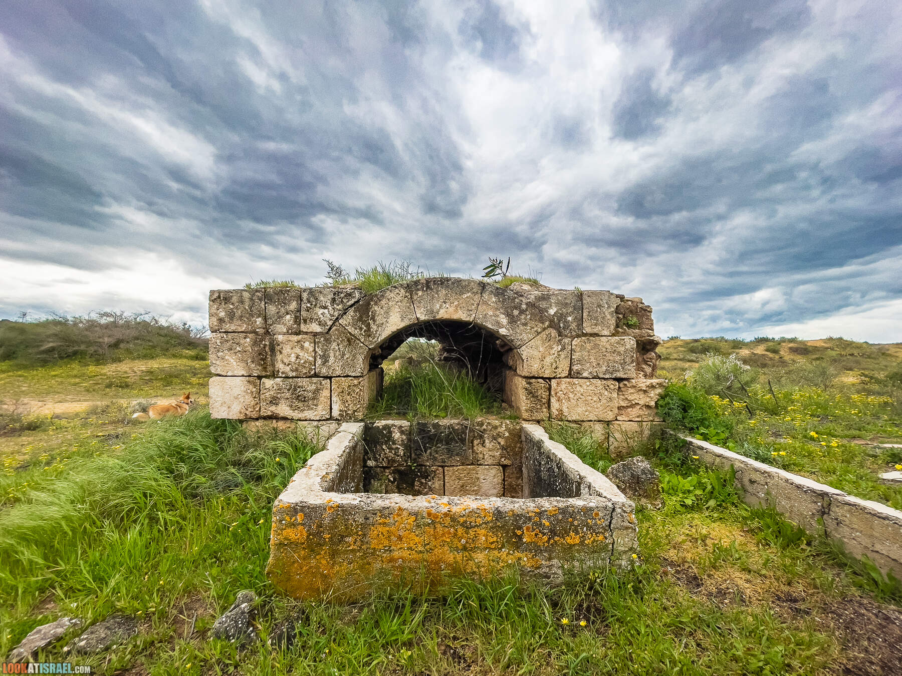 Прогулки с хвостом - пески Пальмахим и Наби Рубин