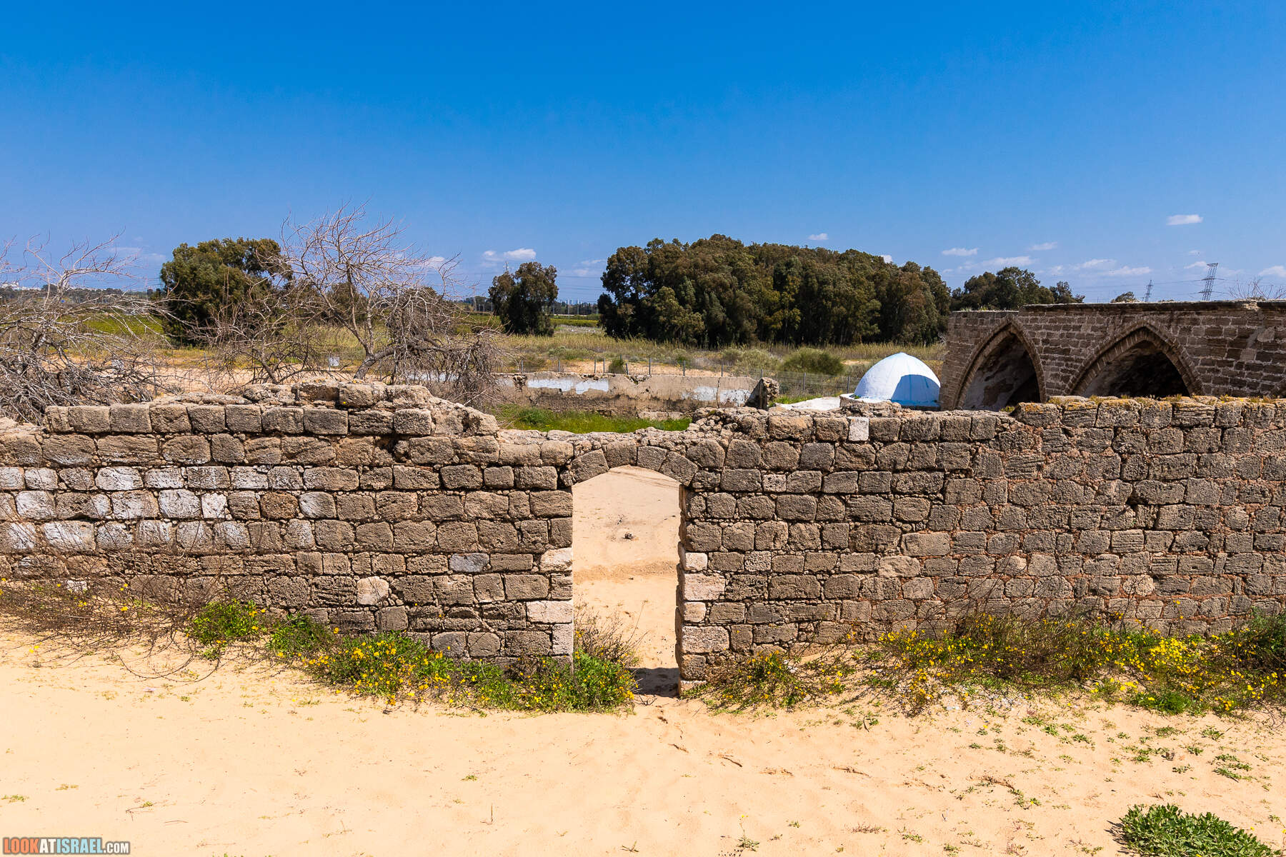 Прогулки с хвостом - пески Пальмахим и Наби Рубин