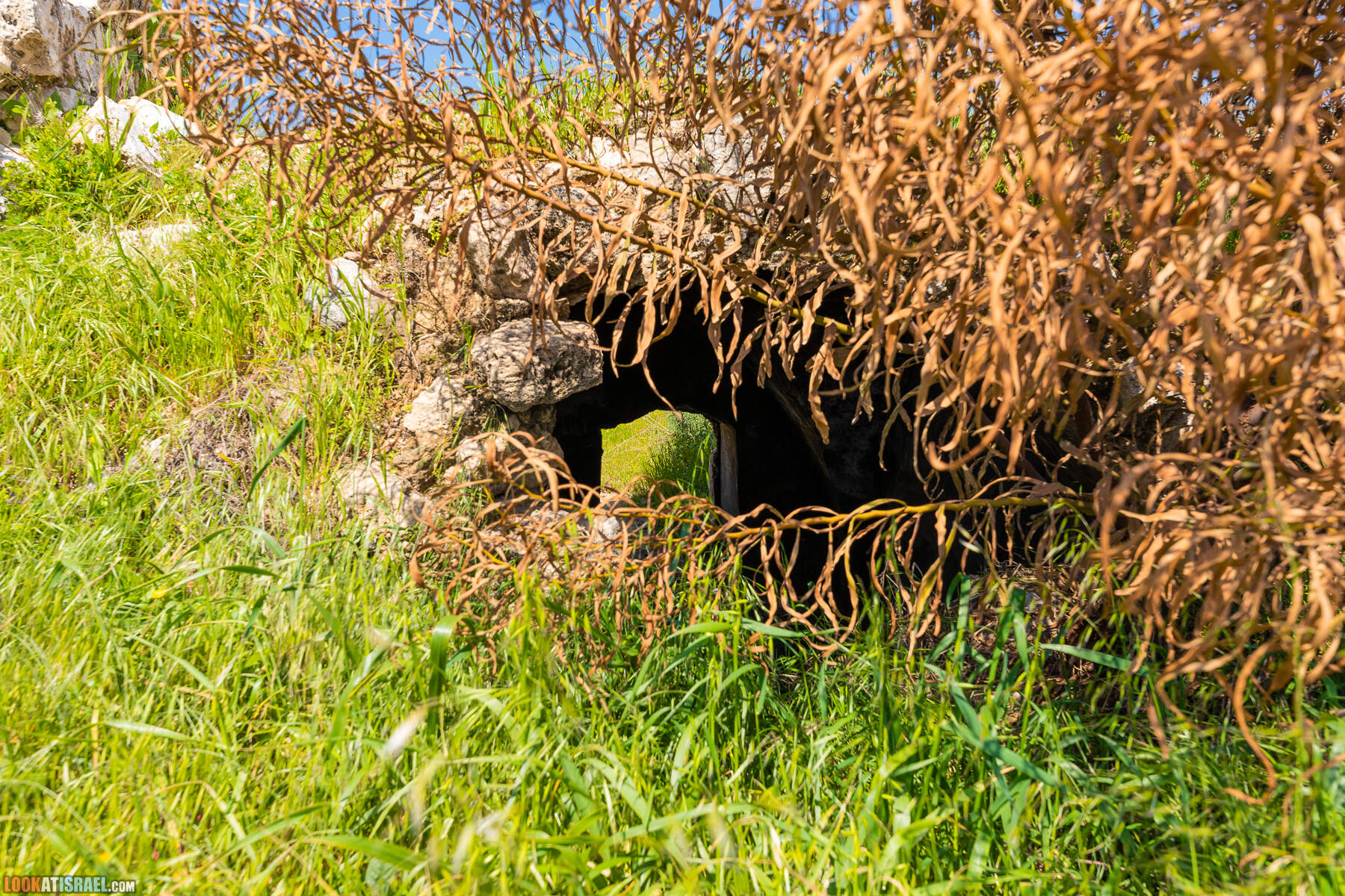 Прогулки с хвостом - пески Пальмахим и Наби Рубин