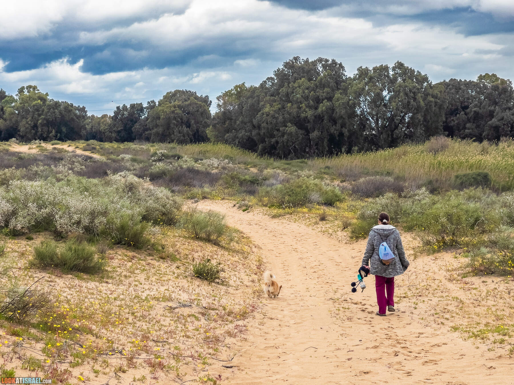Прогулки с хвостом - пески Пальмахим и Наби Рубин