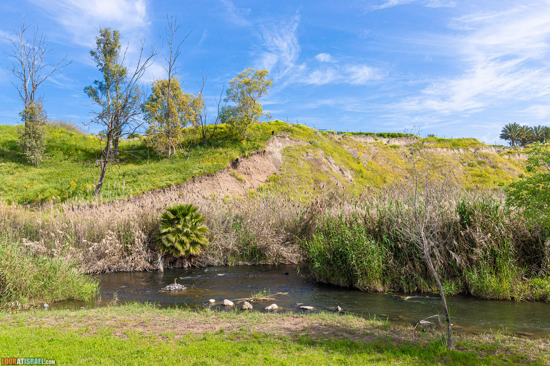 Израильская саванна - Поход по ручью Явниель