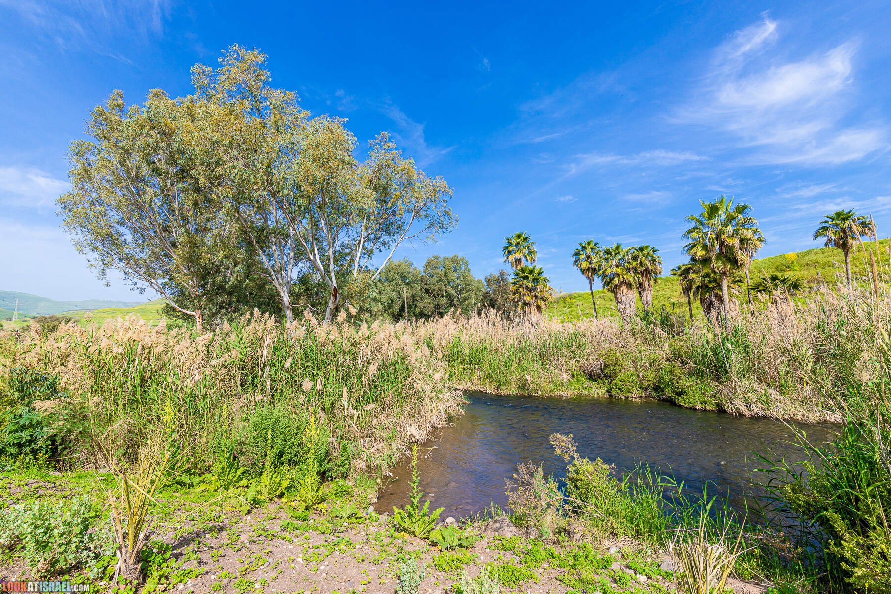 Израильская саванна - Поход по ручью Явниель