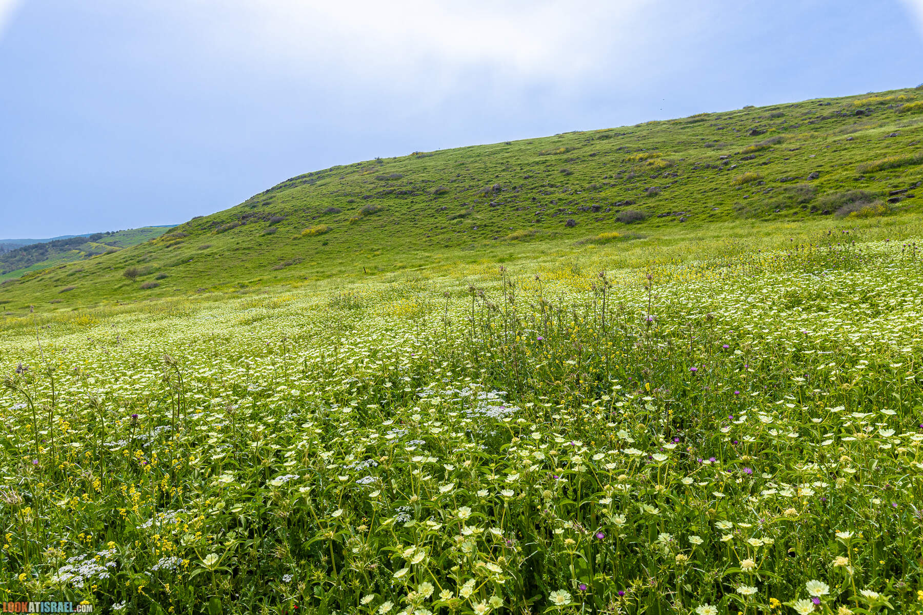 Израильская саванна - Поход по ручью Явниель