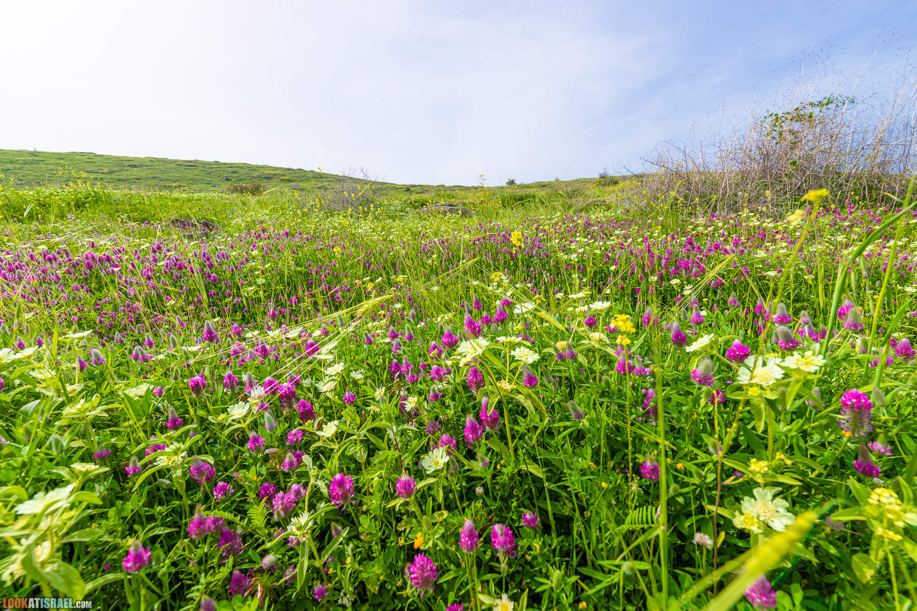 Израильская саванна - Поход по ручью Явниель