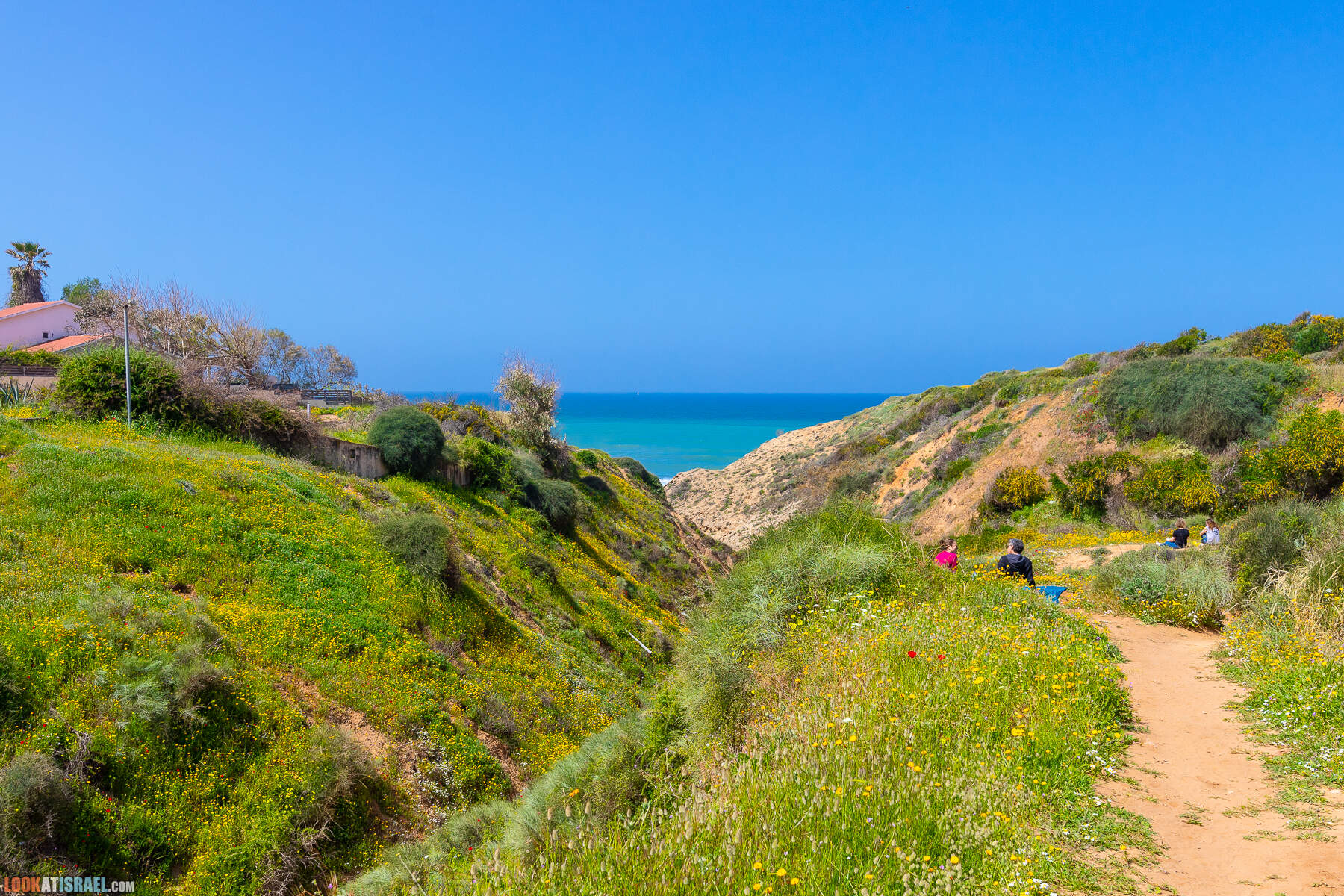 Прогулки с хвостом - маршрут для прогулки с собакой - Хоф а-Шарон