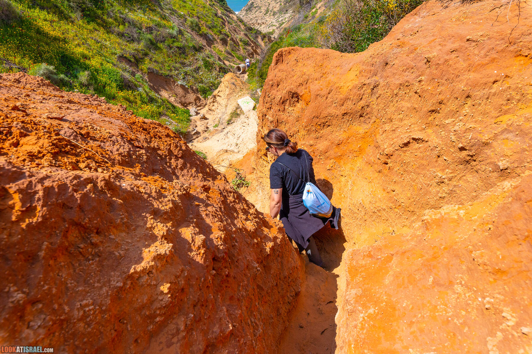 Прогулки с хвостом - маршрут для прогулки с собакой - Хоф а-Шарон