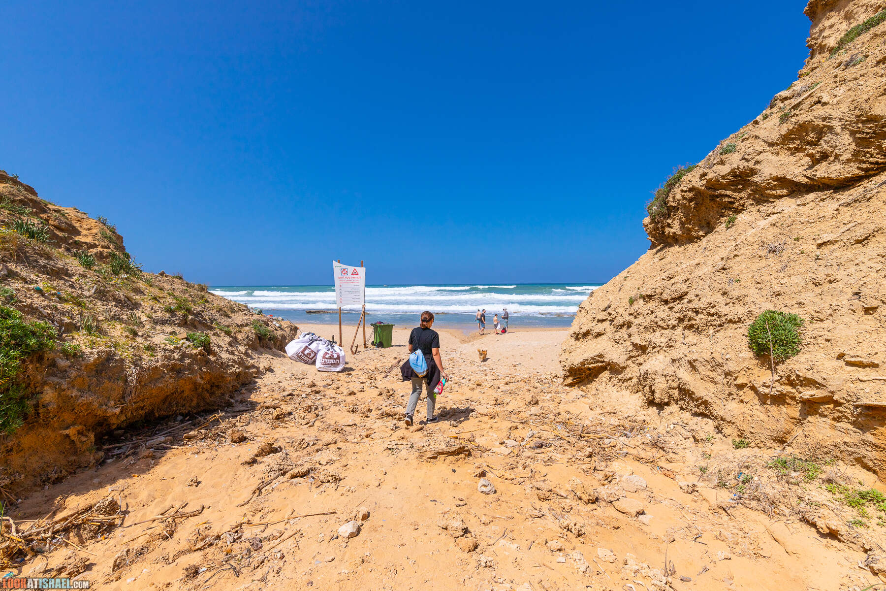Прогулки с хвостом - маршрут для прогулки с собакой - Хоф а-Шарон