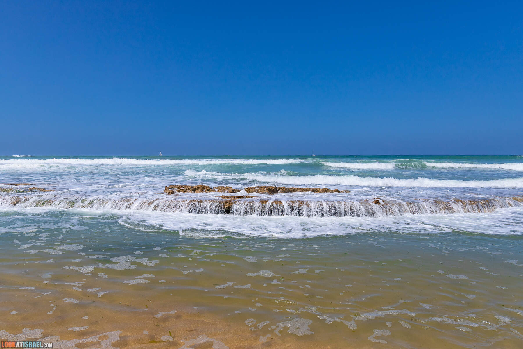 Прогулки с хвостом - маршрут для прогулки с собакой - Хоф а-Шарон