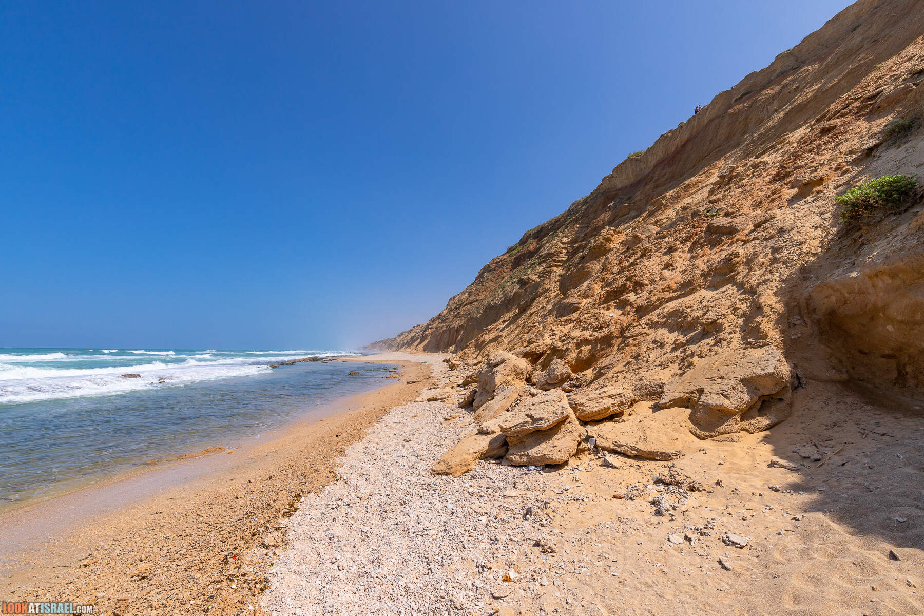 Прогулки с хвостом - маршрут для прогулки с собакой - Хоф а-Шарон