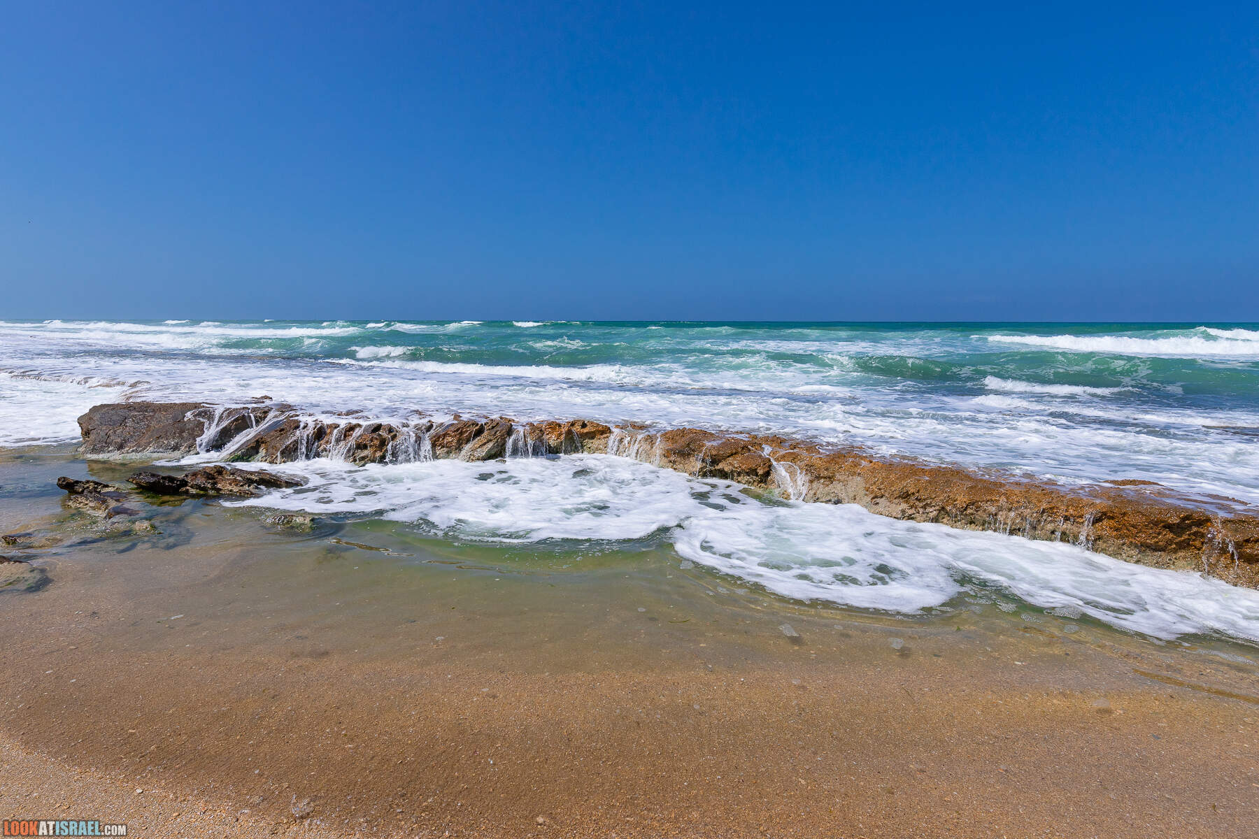 Прогулки с хвостом - маршрут для прогулки с собакой - Хоф а-Шарон