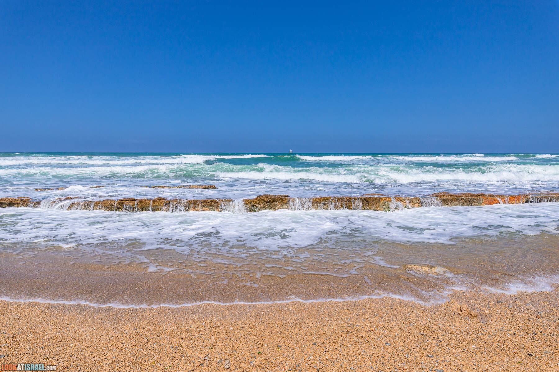 Прогулки с хвостом - маршрут для прогулки с собакой - Хоф а-Шарон