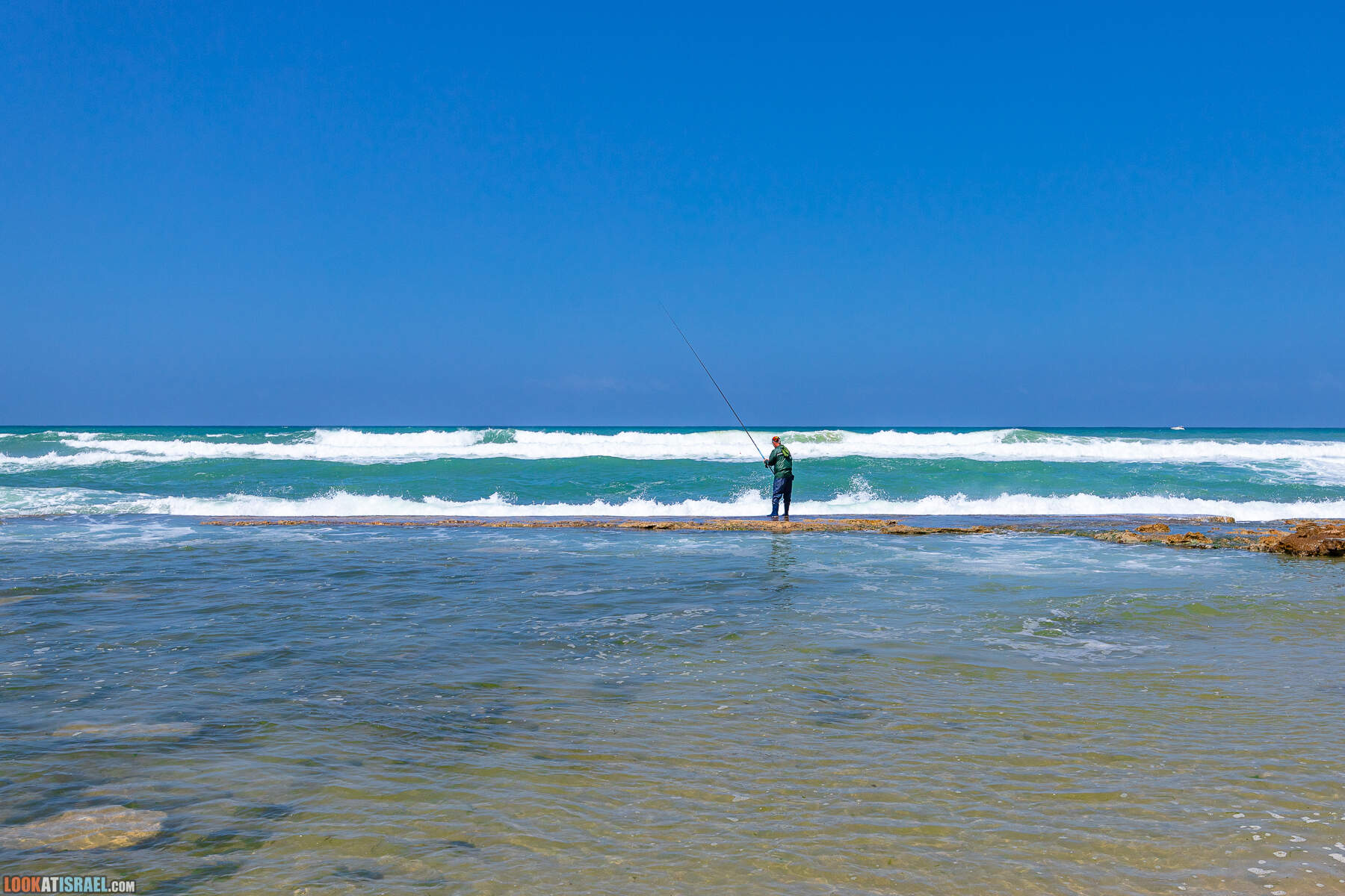 Прогулки с хвостом - маршрут для прогулки с собакой - Хоф а-Шарон