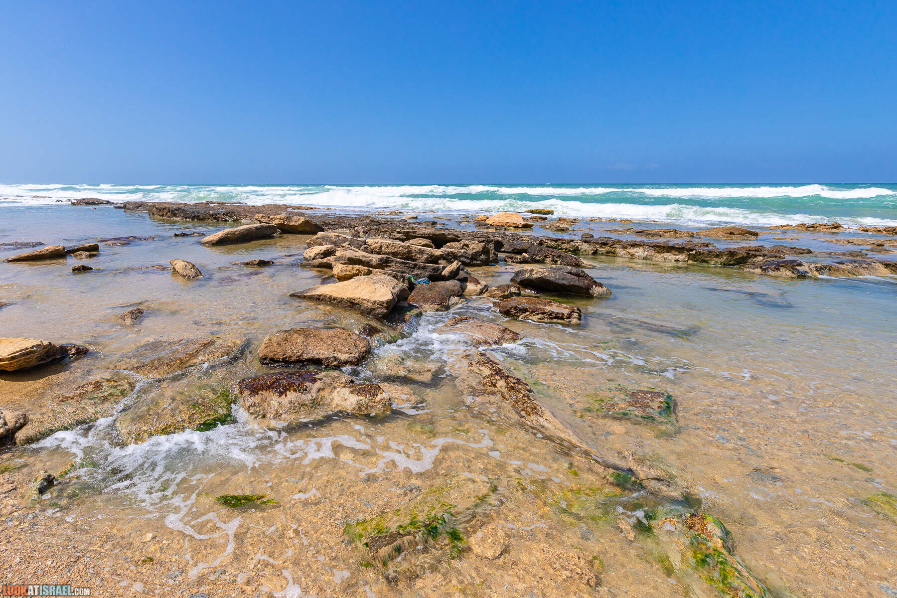 Прогулки с хвостом - маршрут для прогулки с собакой - Хоф а-Шарон
