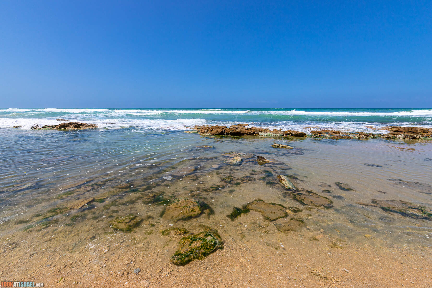 Прогулки с хвостом - маршрут для прогулки с собакой - Хоф а-Шарон