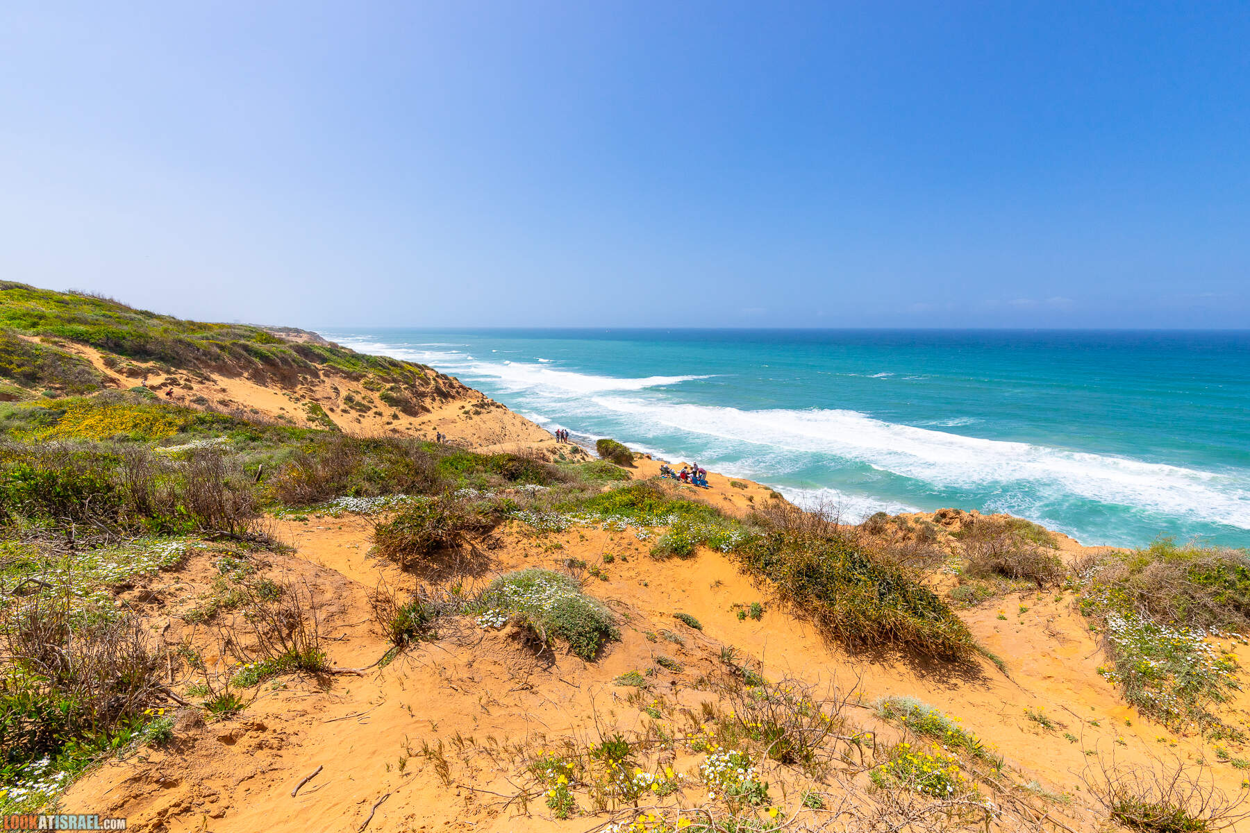 Прогулки с хвостом - маршрут для прогулки с собакой - Хоф а-Шарон