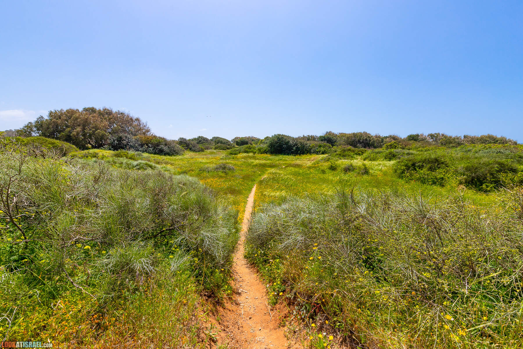 Прогулки с хвостом - маршрут для прогулки с собакой - Хоф а-Шарон