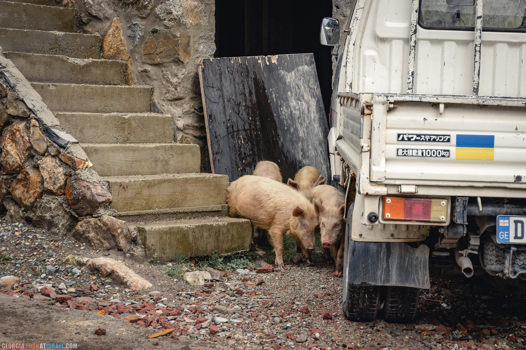 Путешествие в западную Грузию - Сванетия, Местиа (Местия)