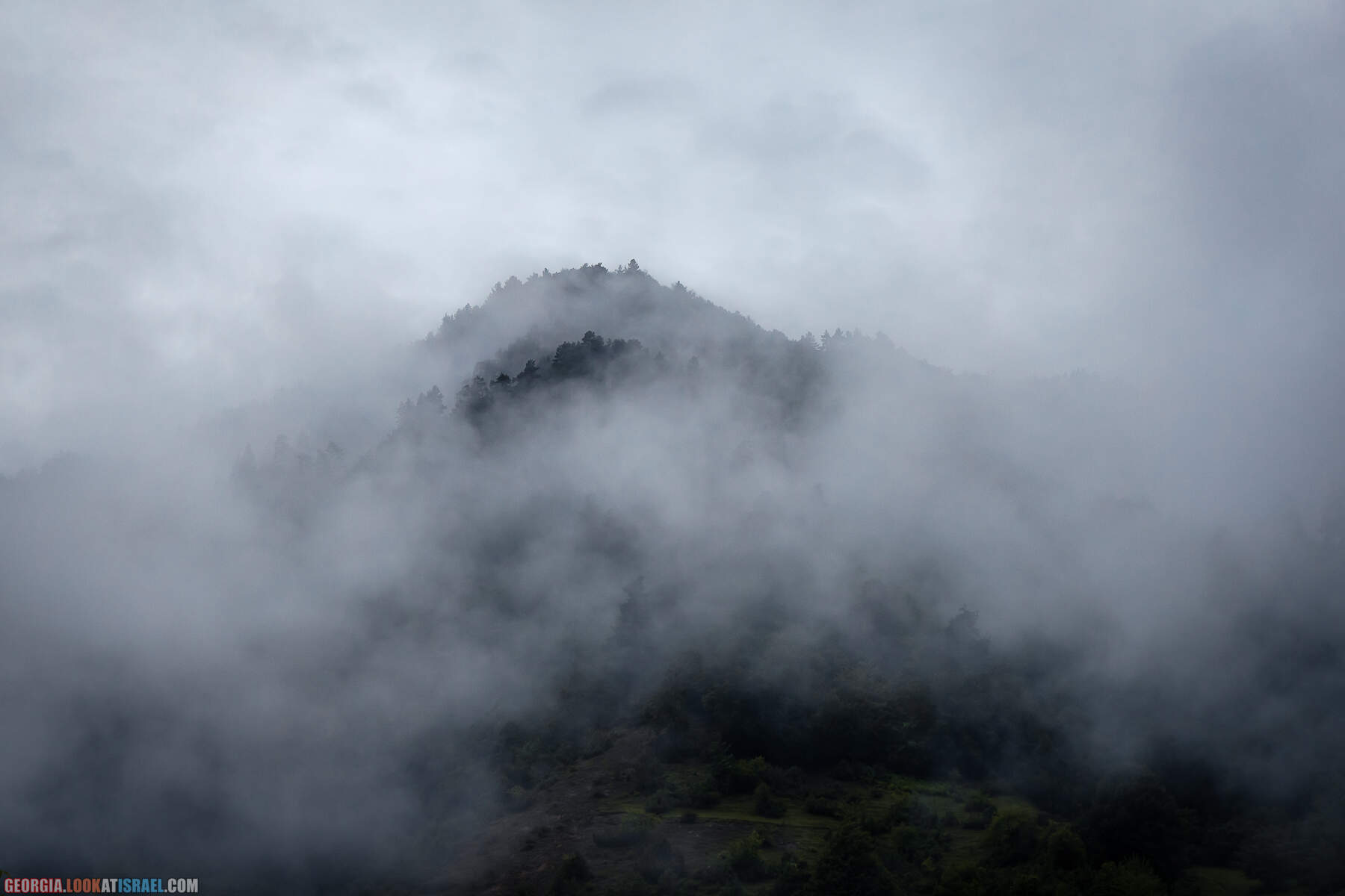 Местиа (Местия), Сванетия