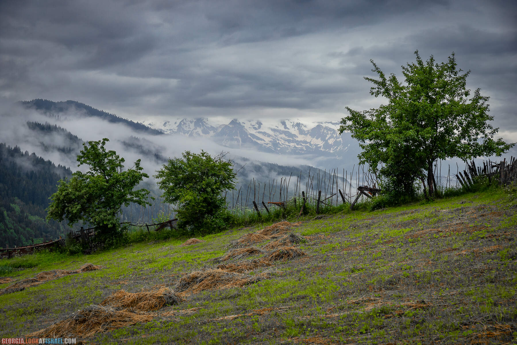 Местиа (Местия), Сванетия