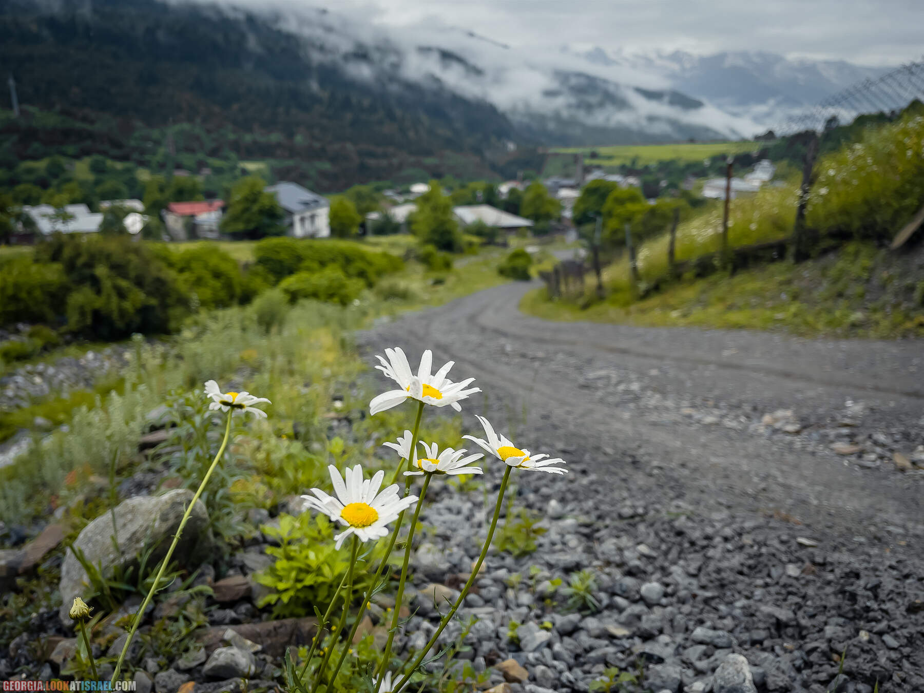 Местиа (Местия), Сванетия