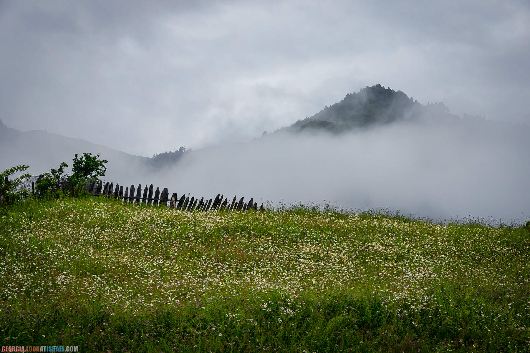 Местиа (Местия), Сванетия