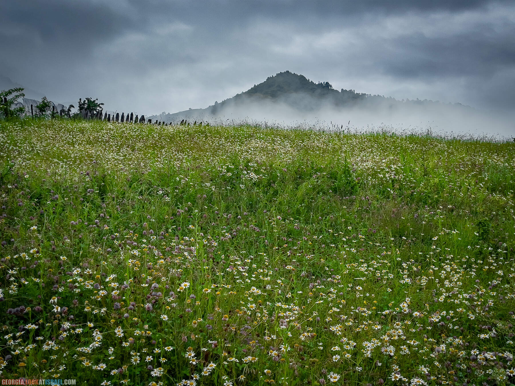 Местиа (Местия), Сванетия